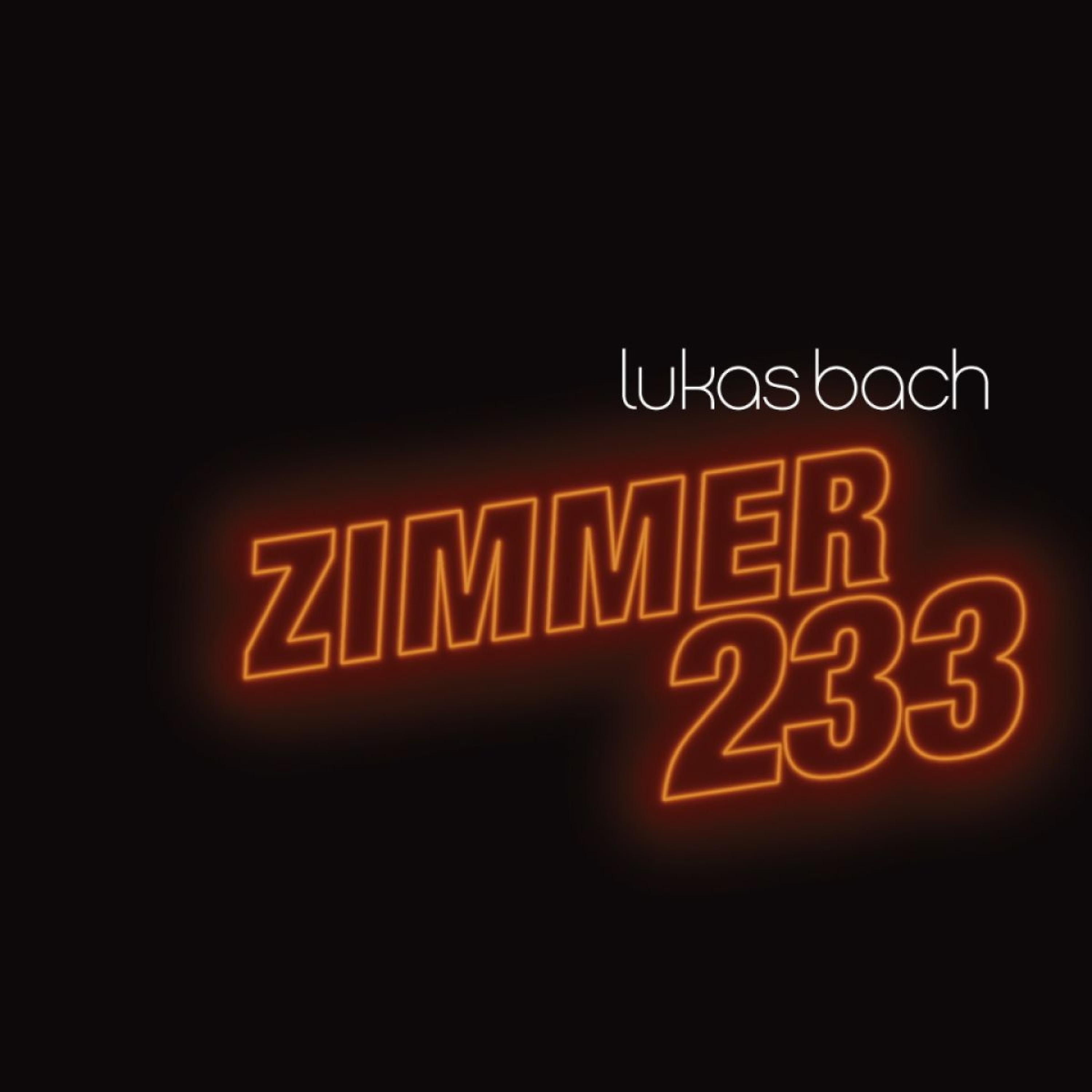 Постер альбома Zimmer 233