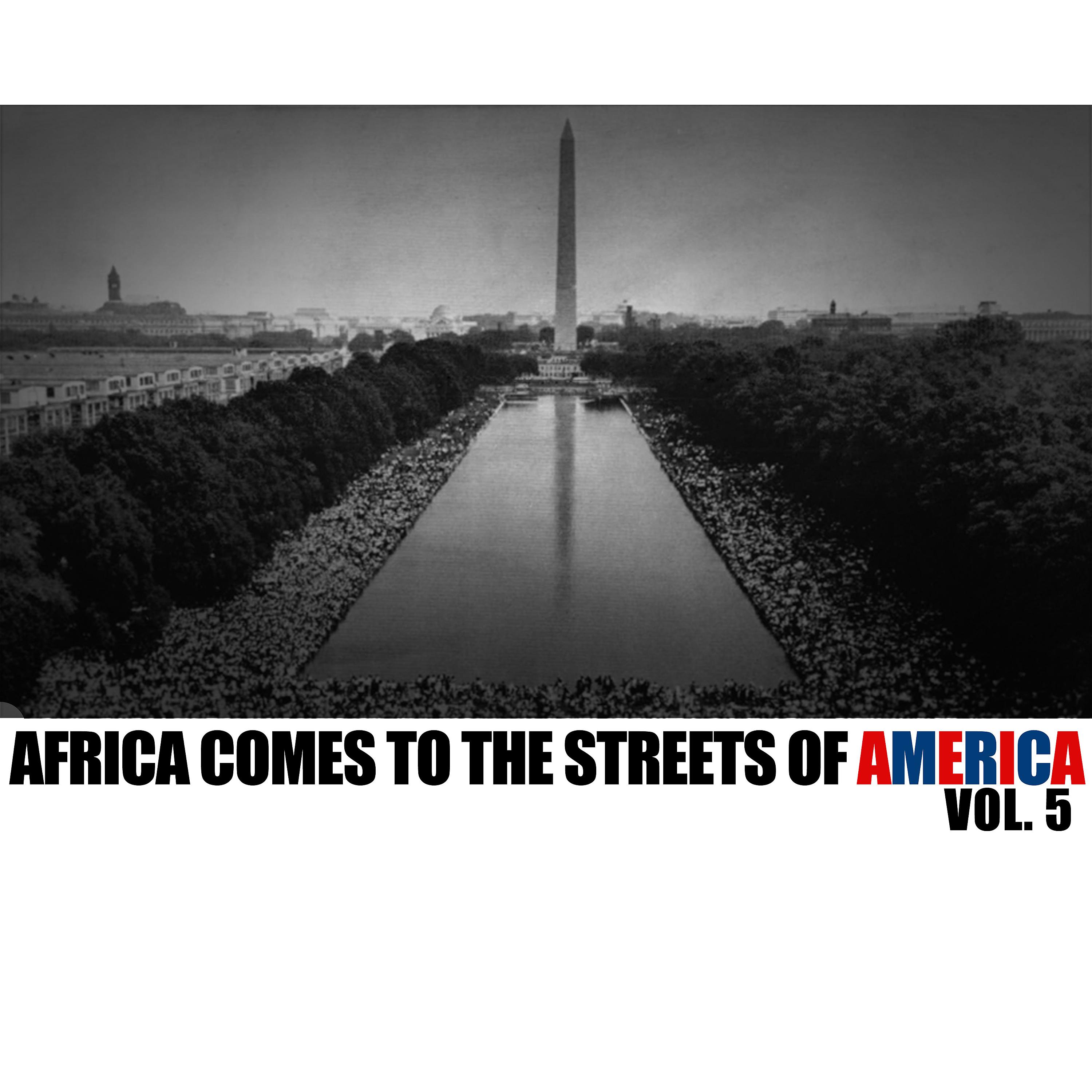 Постер альбома Africa Comes to the Streets of Amerca, Vol. 5