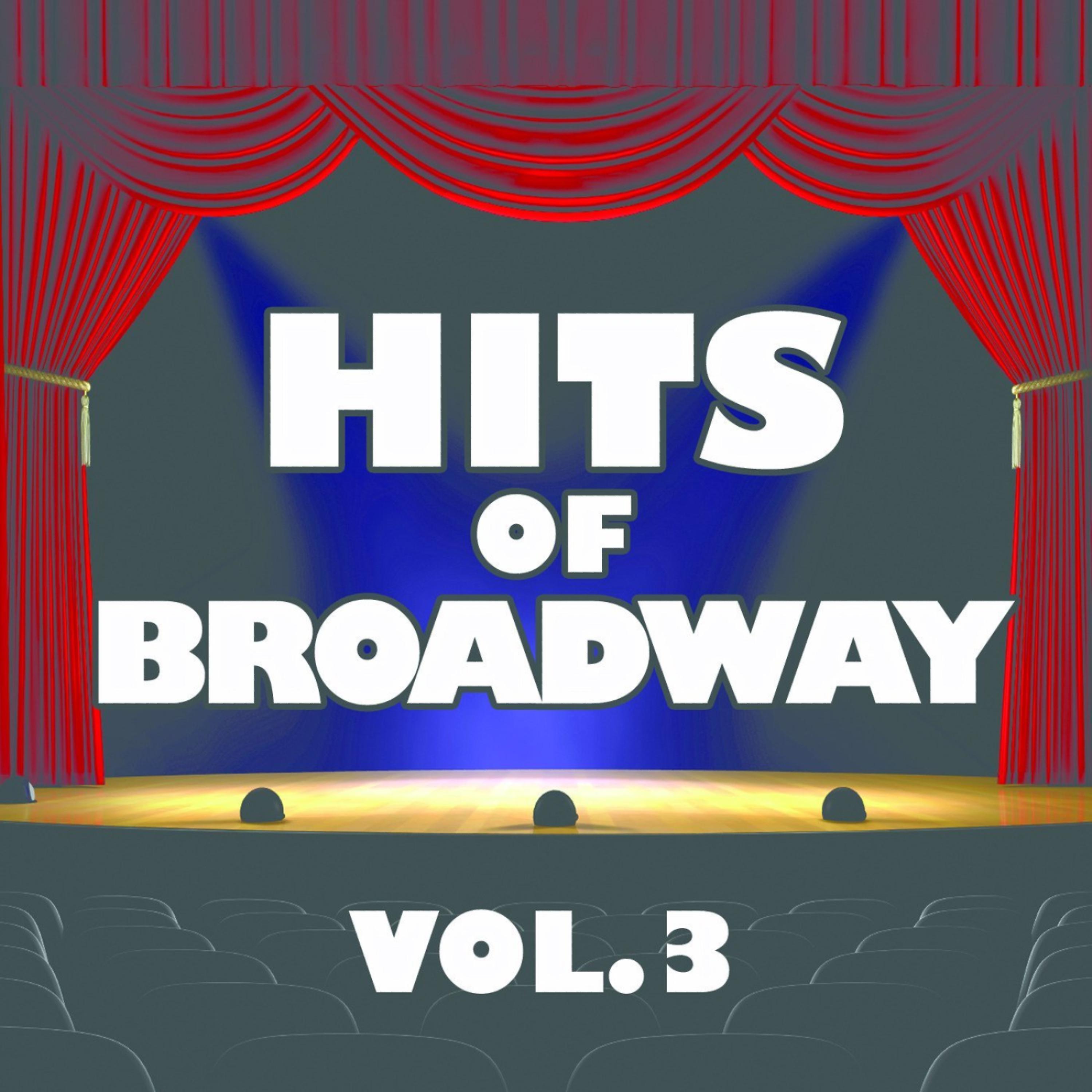 Постер альбома Hits of Broadway Vol.3