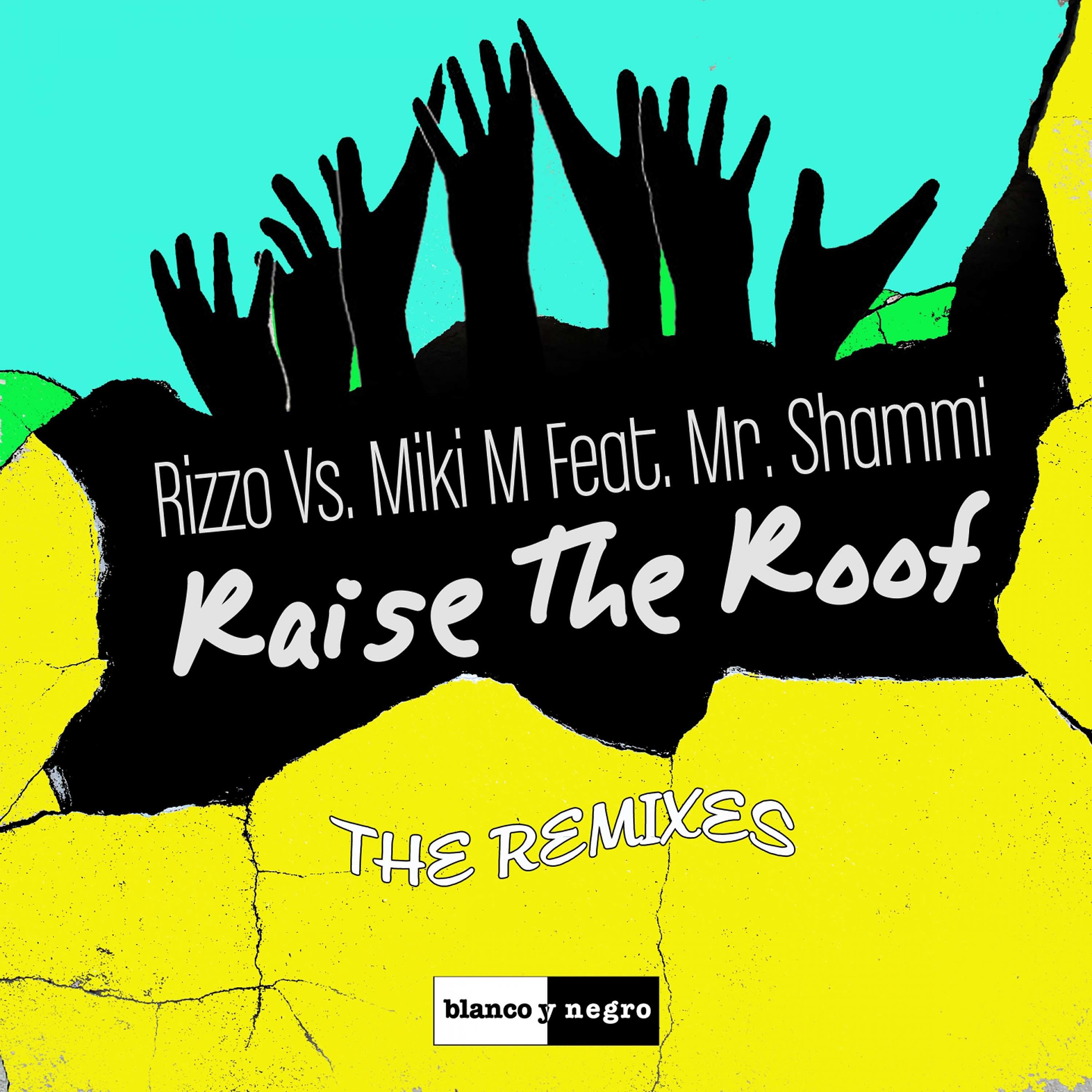 Постер альбома Raise the Roof (The Remixes)