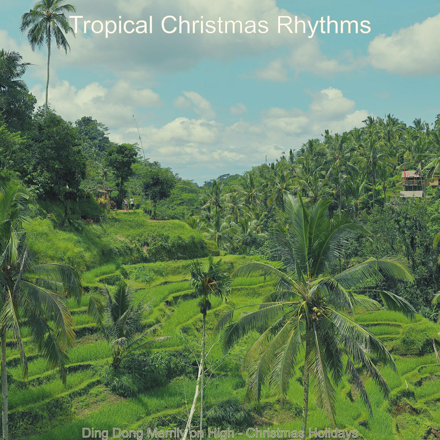 Tropical Christmas Rhythms - Ding Dong Merrily on High, Chrismas Shopping