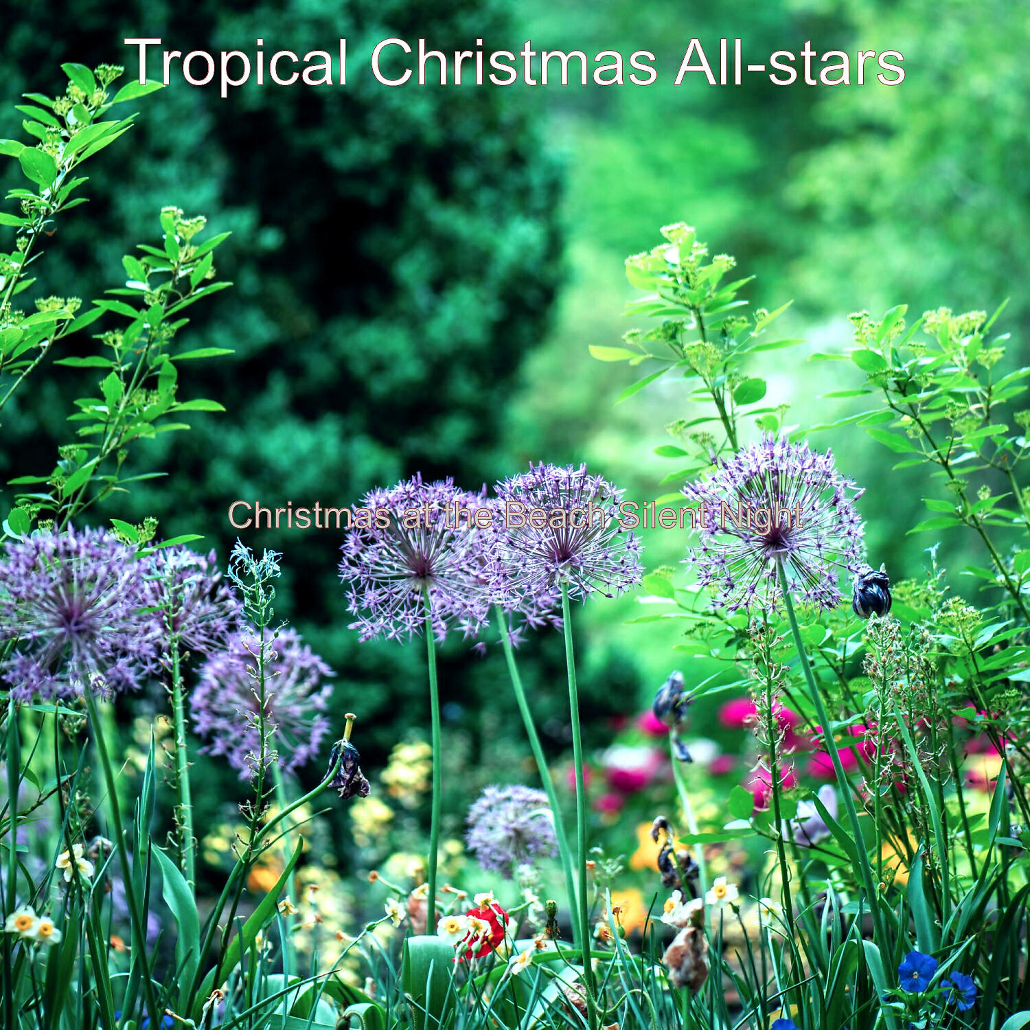 Tropical Christmas All-stars - Deck the Halls - Christmas Holidays