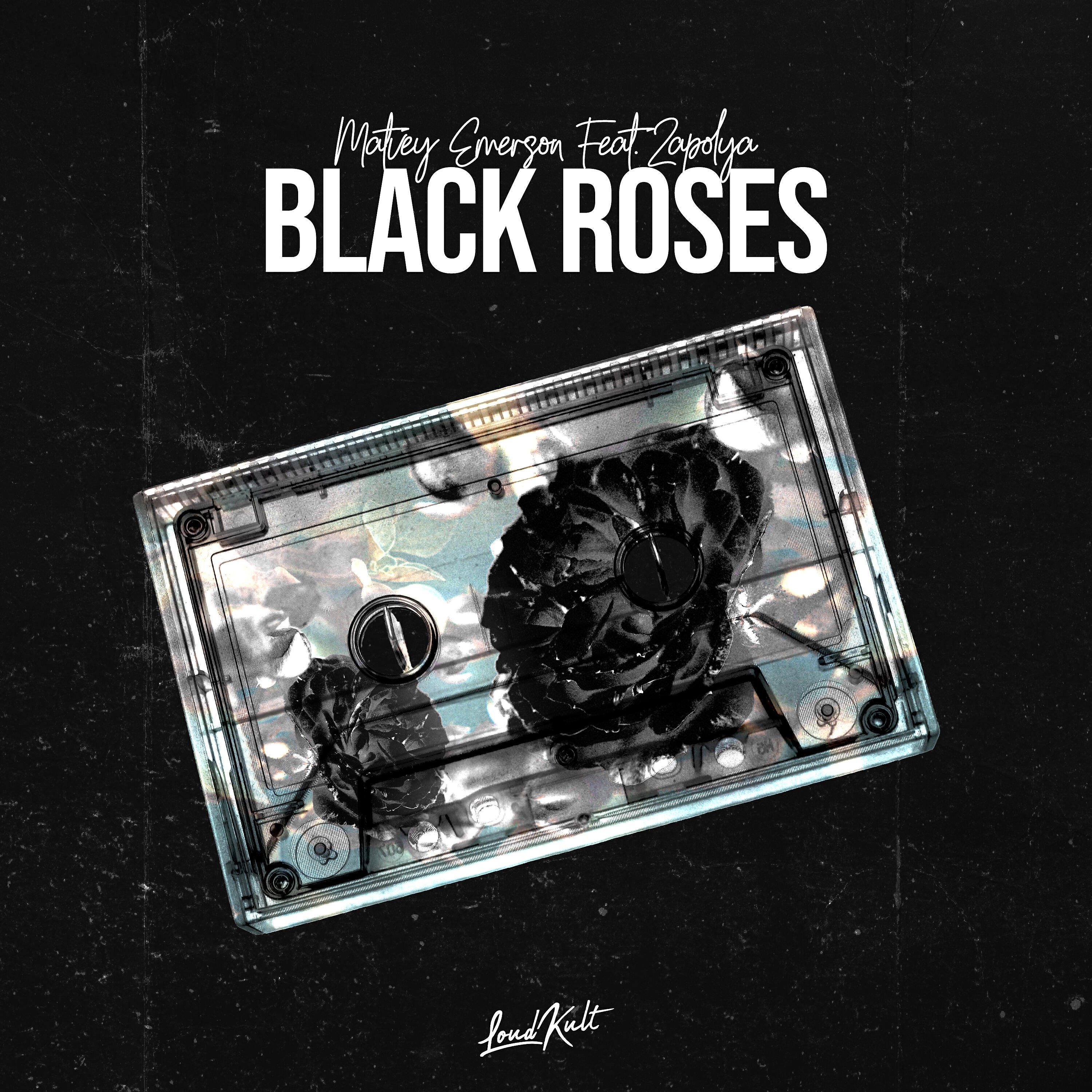 ZAPOLYA - Black Roses