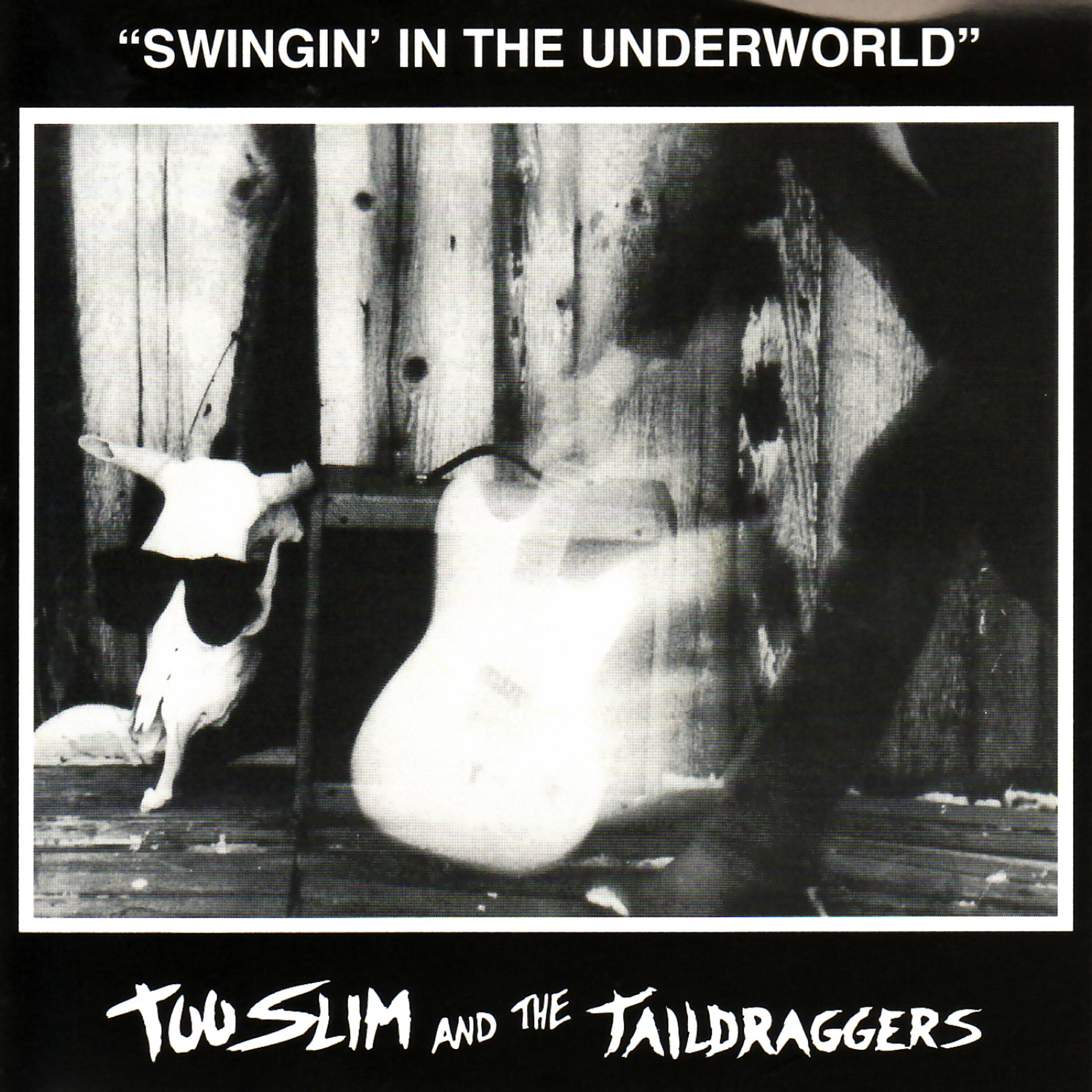 Too Slim and the Taildraggers - Long Tailed Black Cat