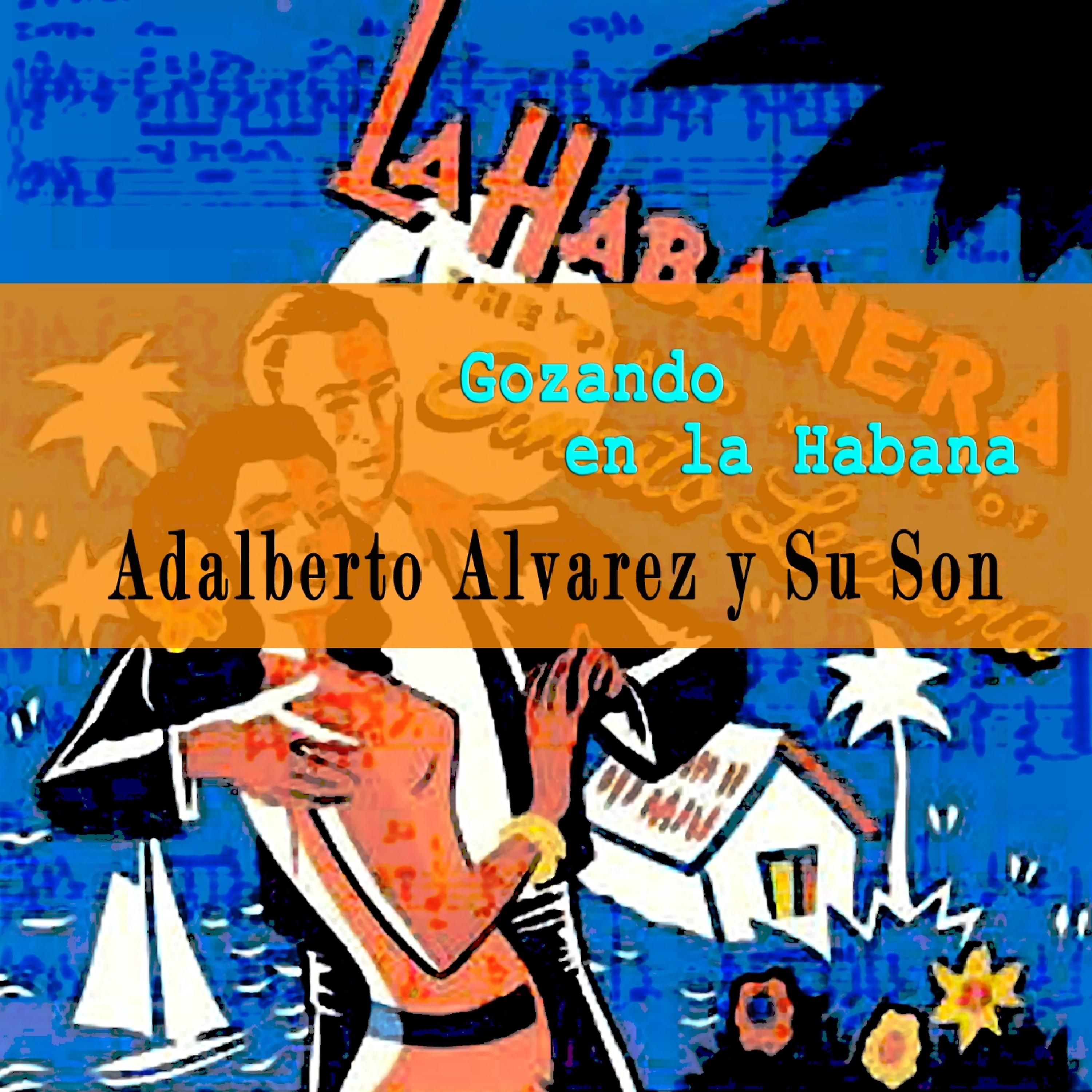Постер альбома Gozando en la Habana