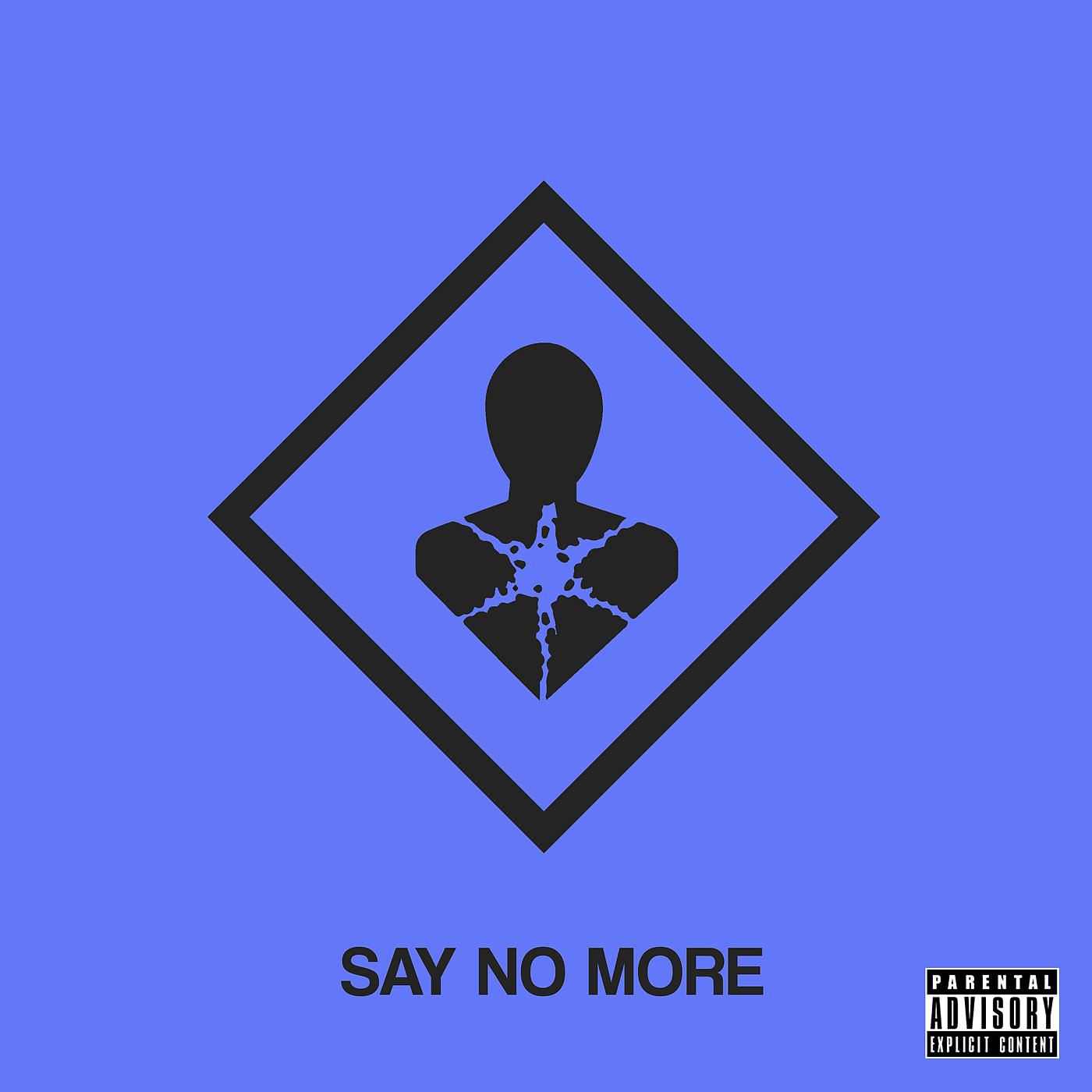 Постер альбома Say no more