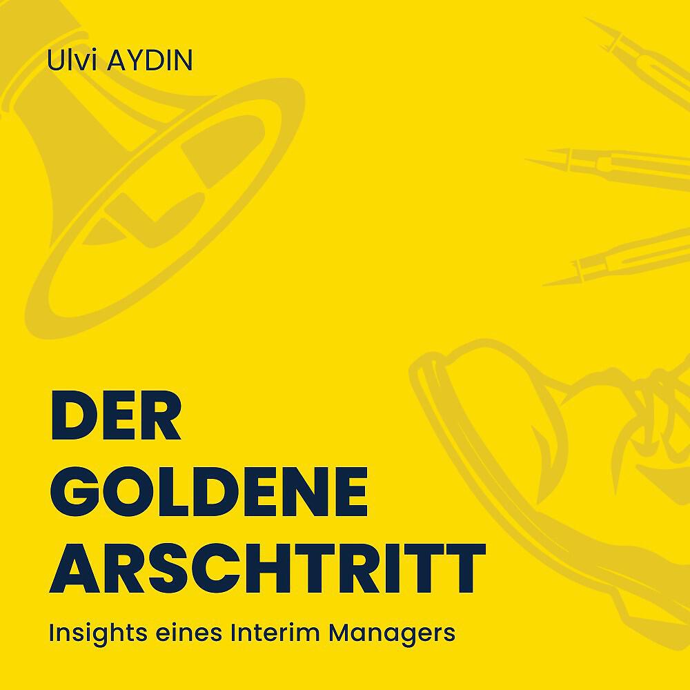 Ulvi I. AYDIN - Kapitel 1 - Der Interim Manager als Moderator