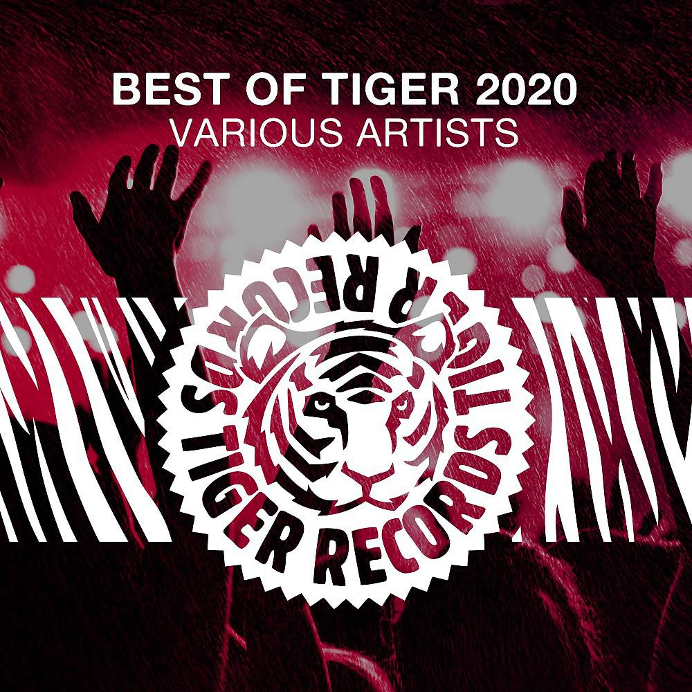 Постер альбома Best of Tiger 2020