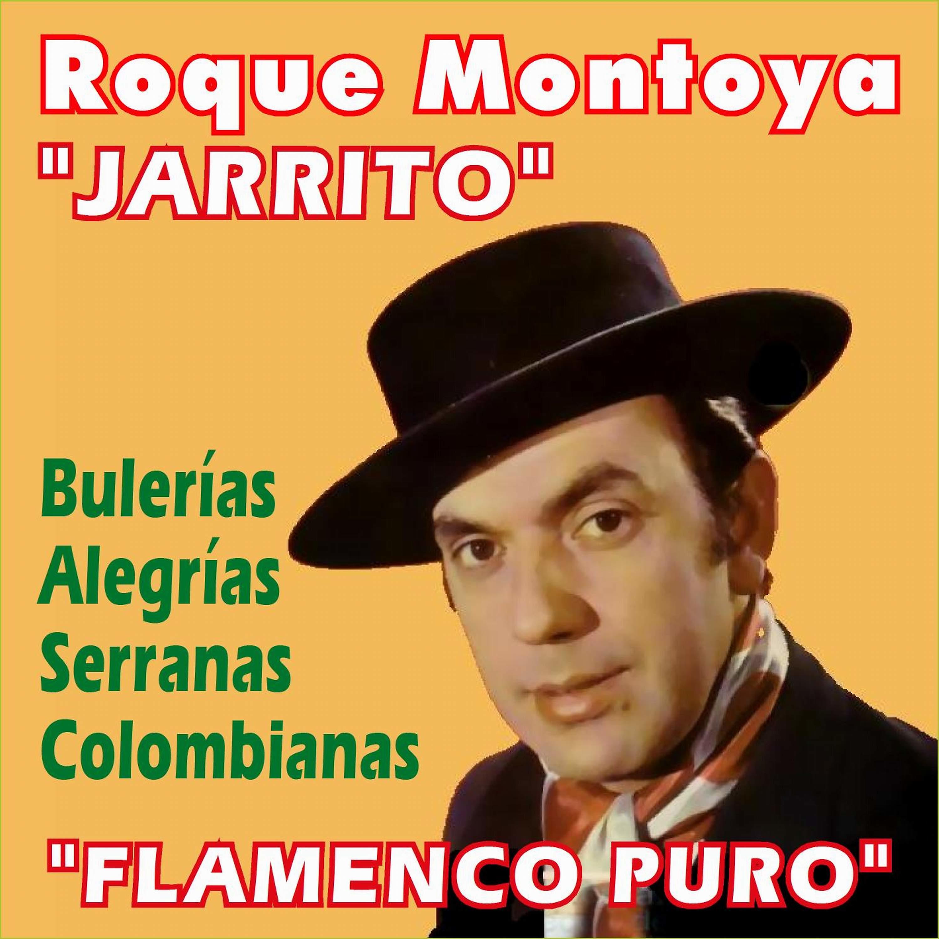 Постер альбома Flamenco Puro