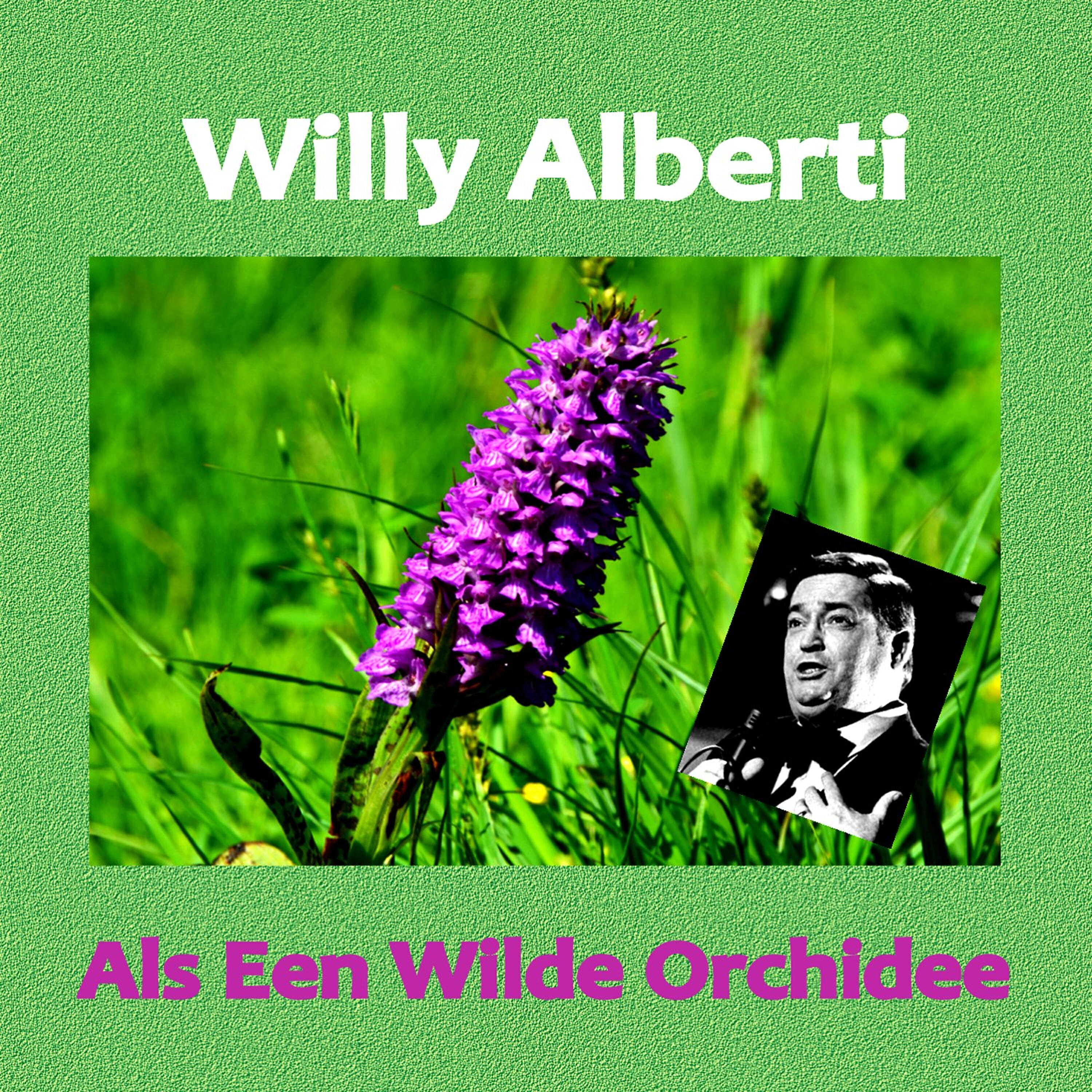 Willy Alberti - Tabe ouwe wester