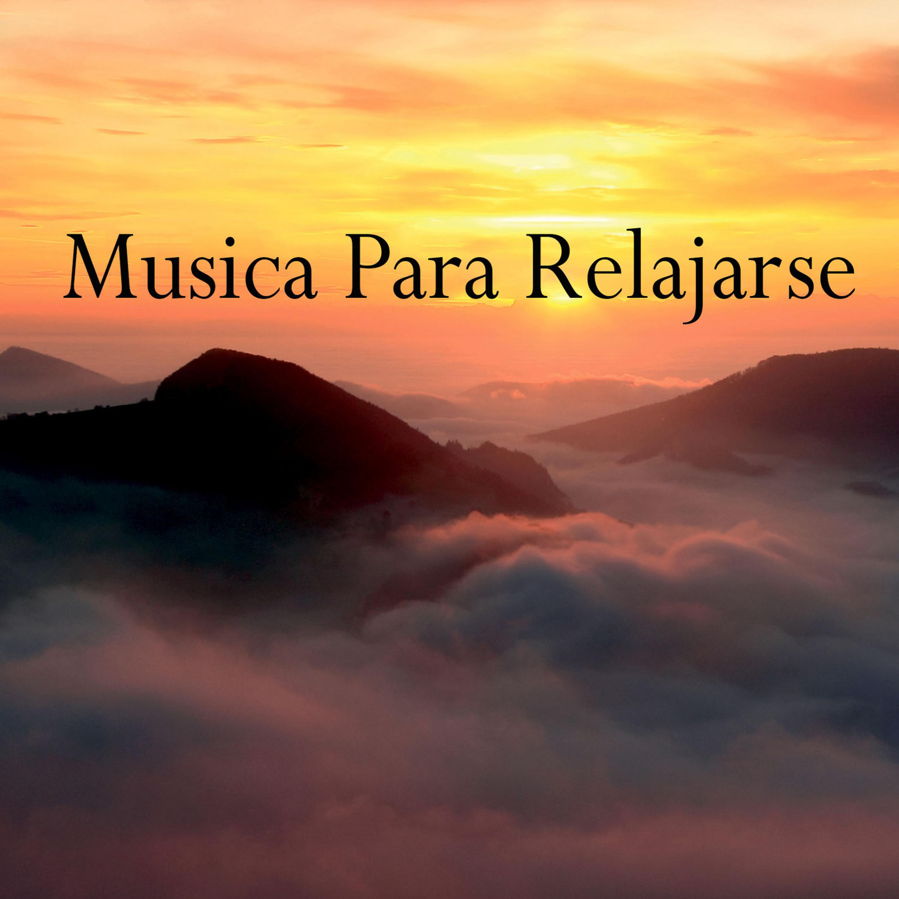 Постер альбома Musica para Relajarse