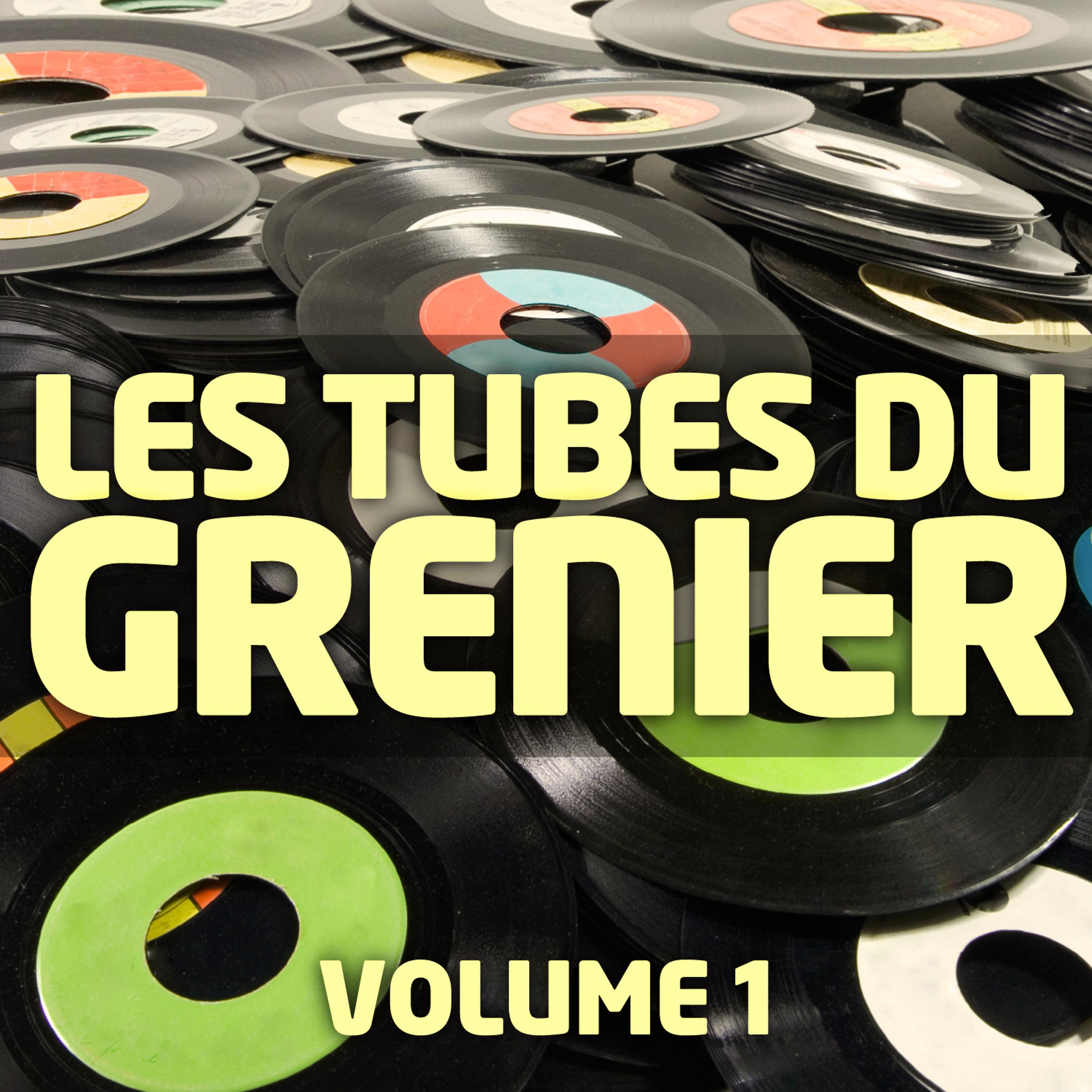 Постер альбома Les Tubes Du Grenier Vol. 1
