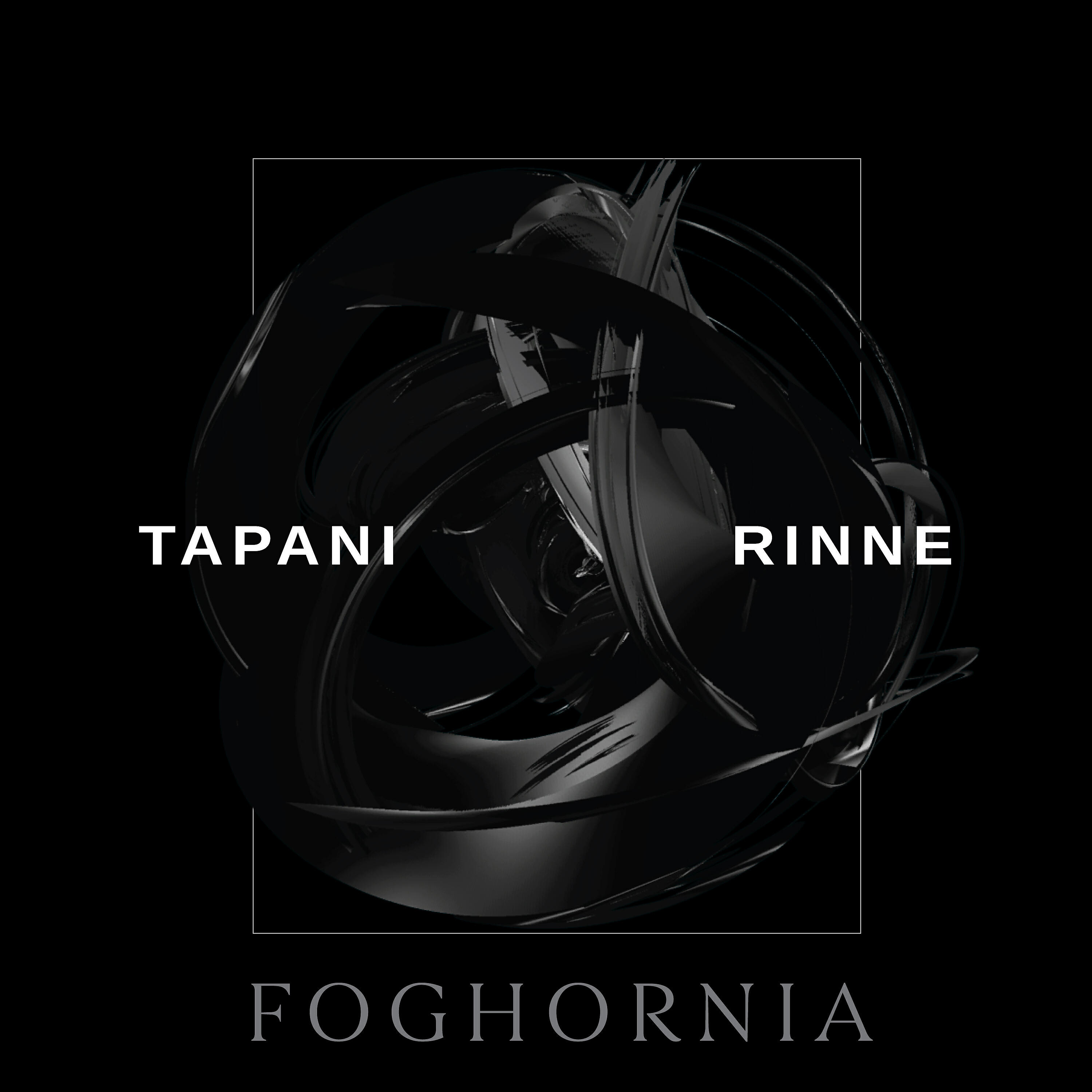 Tapani Rinne - Kirjurinluoto