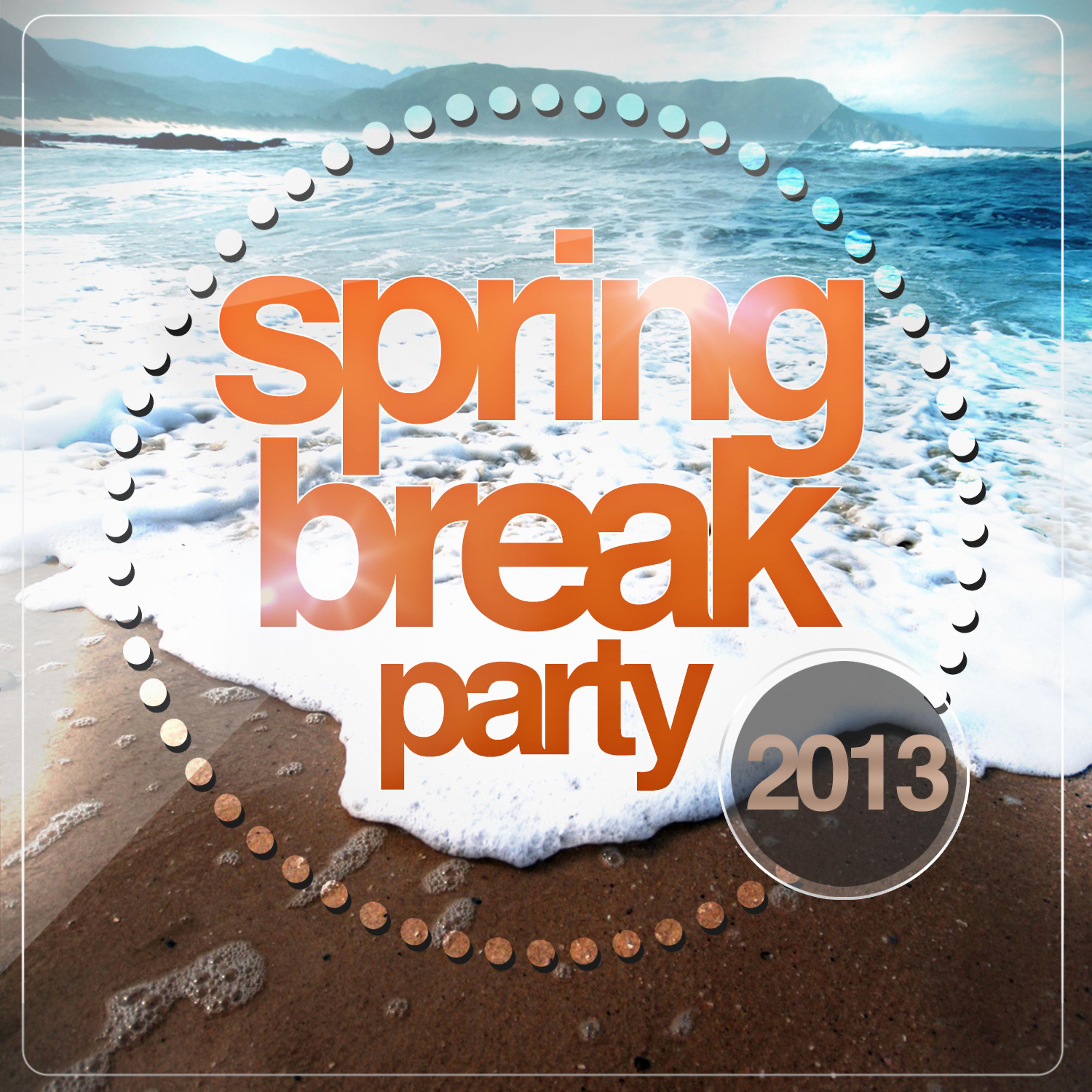 Постер альбома Spring Break Party 2013