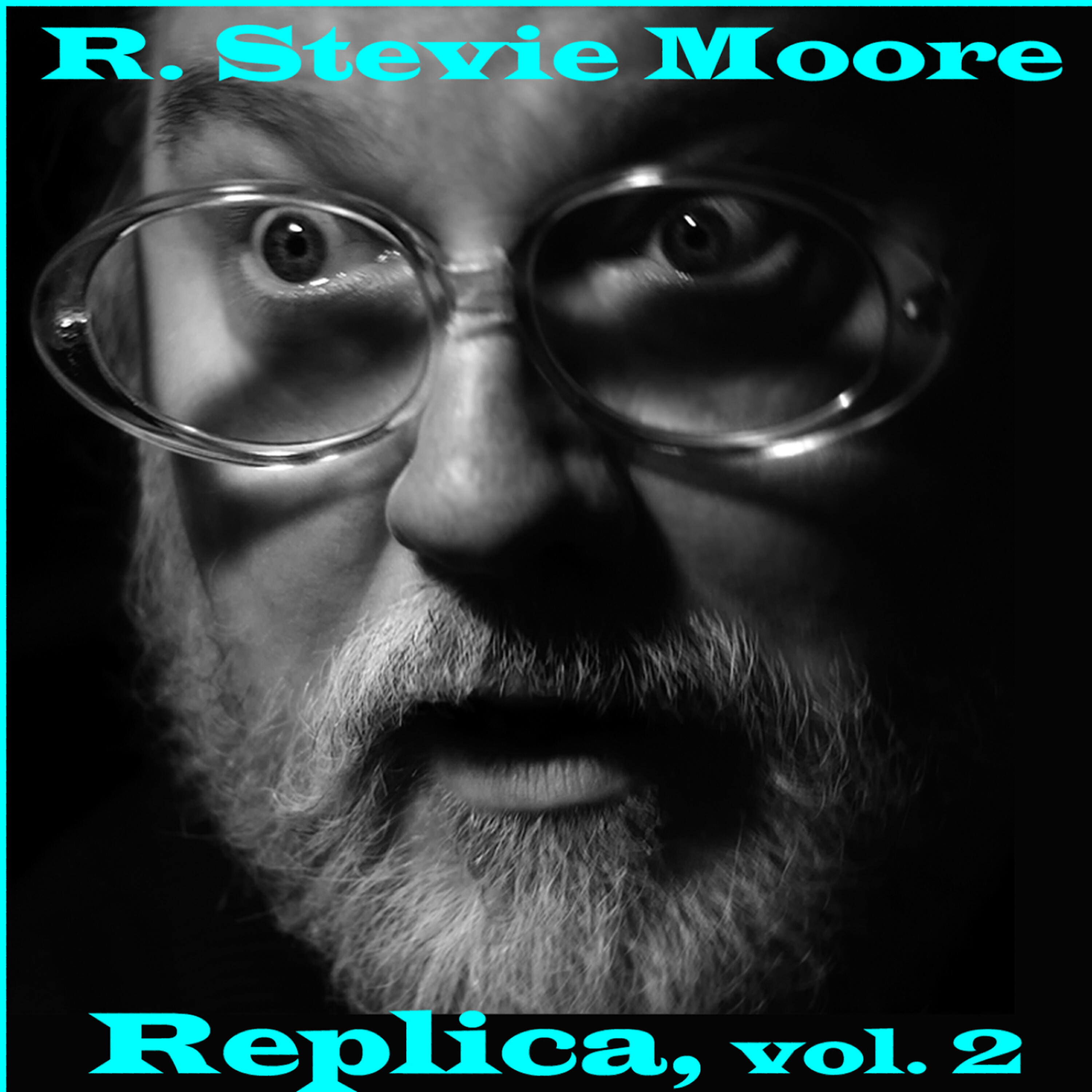 R. Stevie Moore - Everyone But Everyone