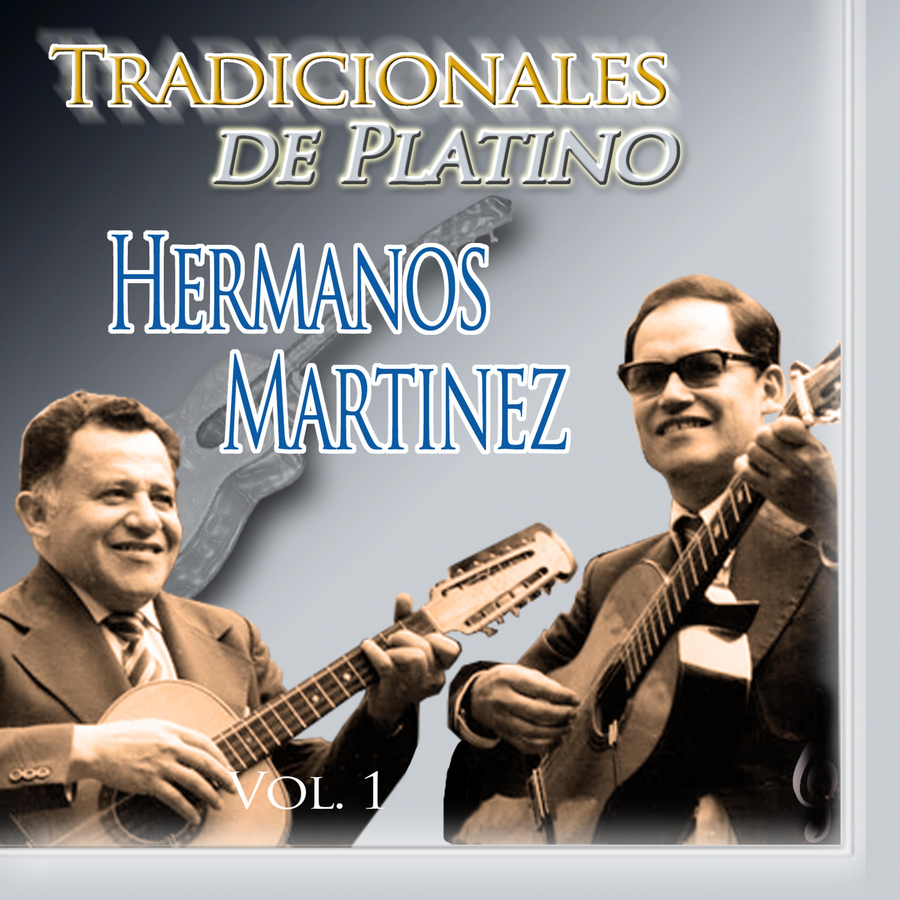 Постер альбома Tradicionales de Platino, Vol. 1