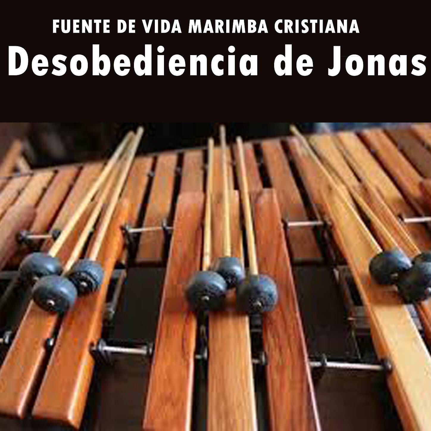 Fuente de vida Marimba Cristiana - Ya Muy Pronto Viene Cristo