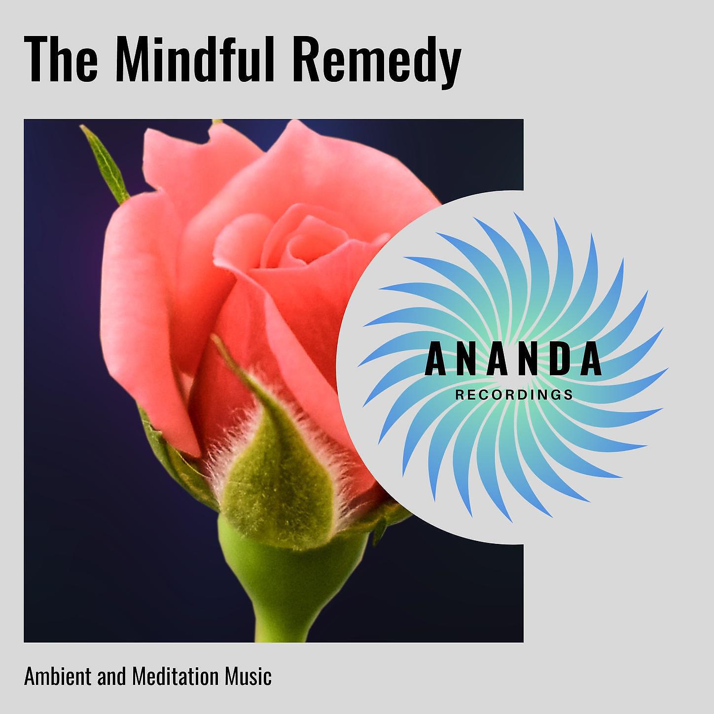 Universal Silence - Therapeutic Ayurveda