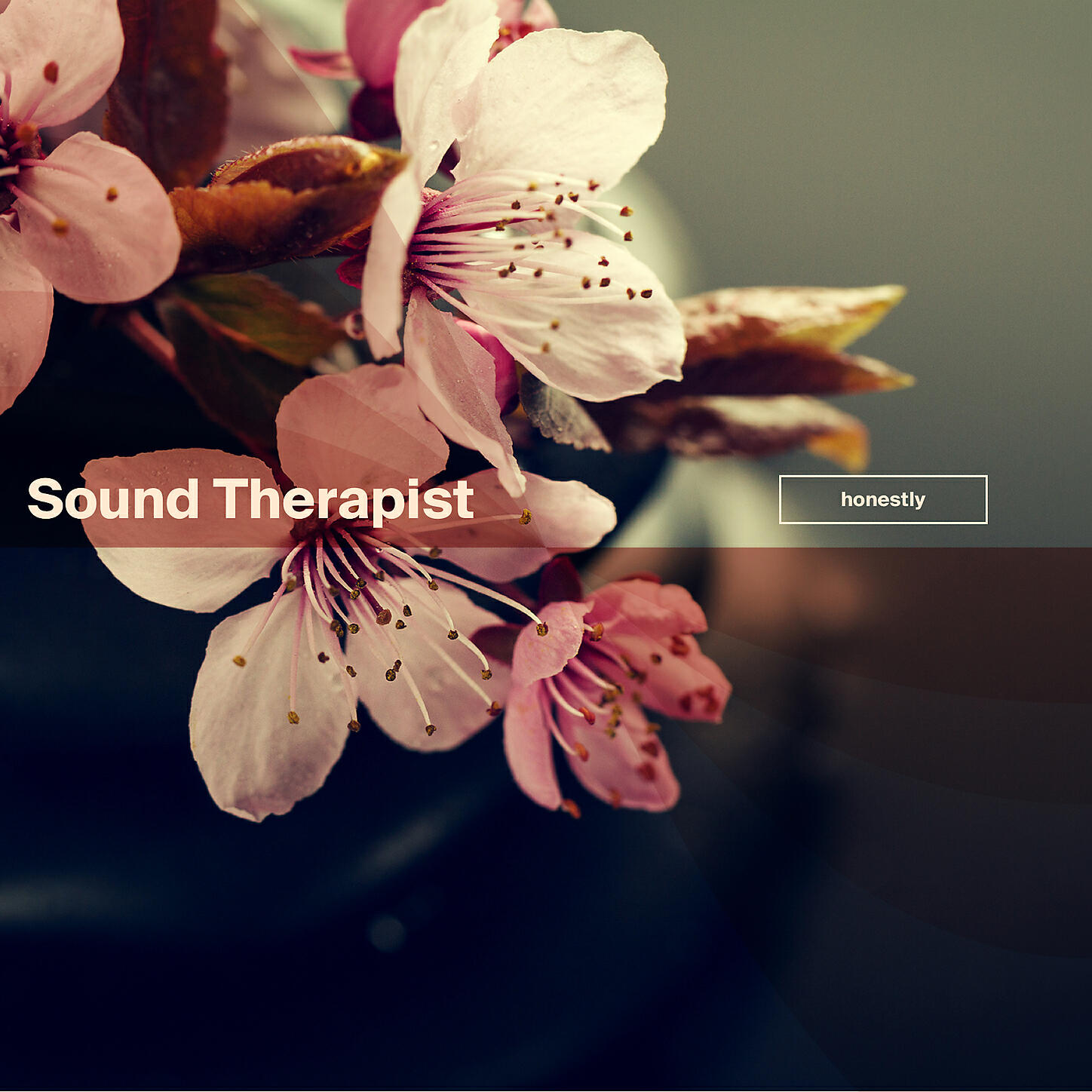 Sound Therapist - Dearly