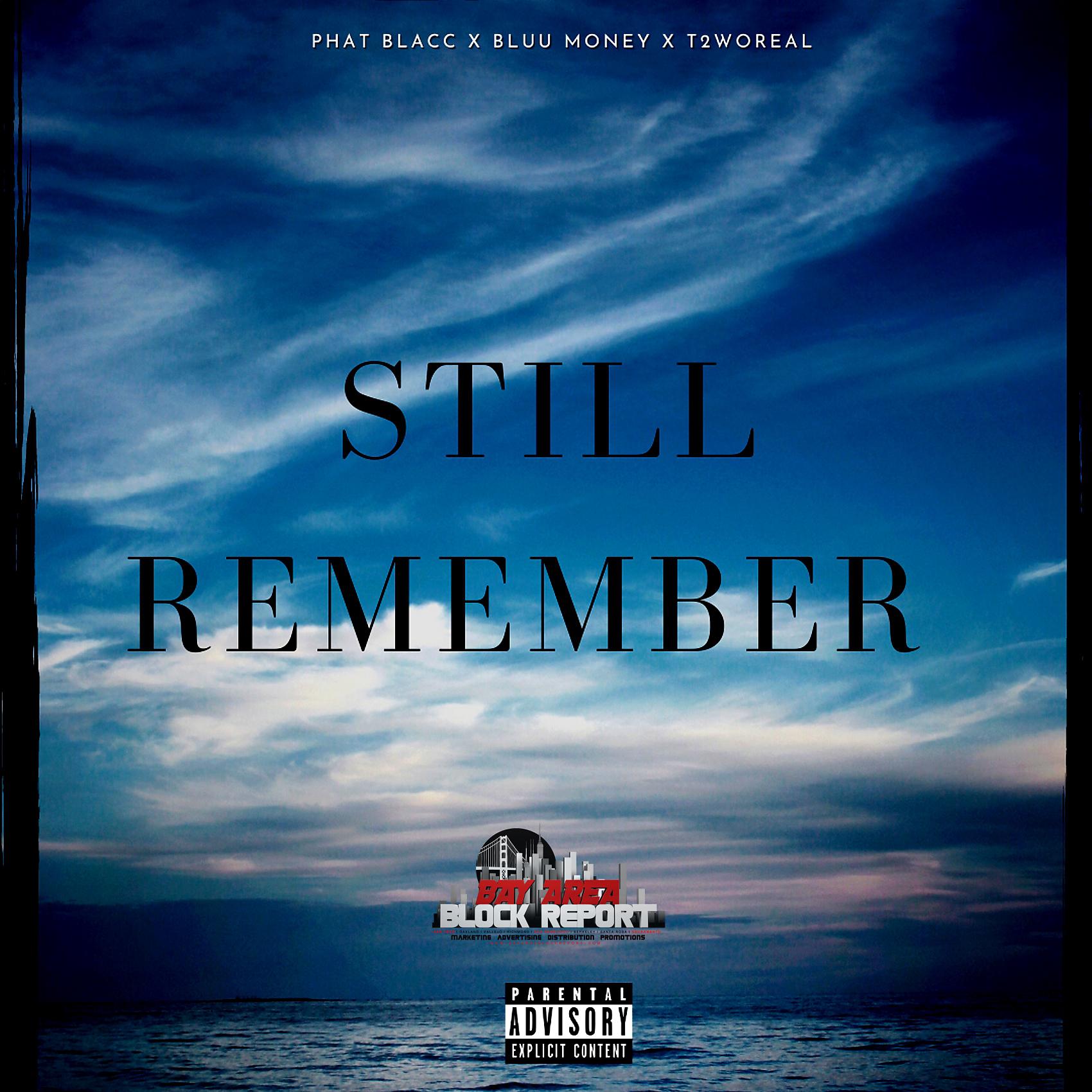 Постер альбома Still Remember (feat. Bluu Money & T2woReal)