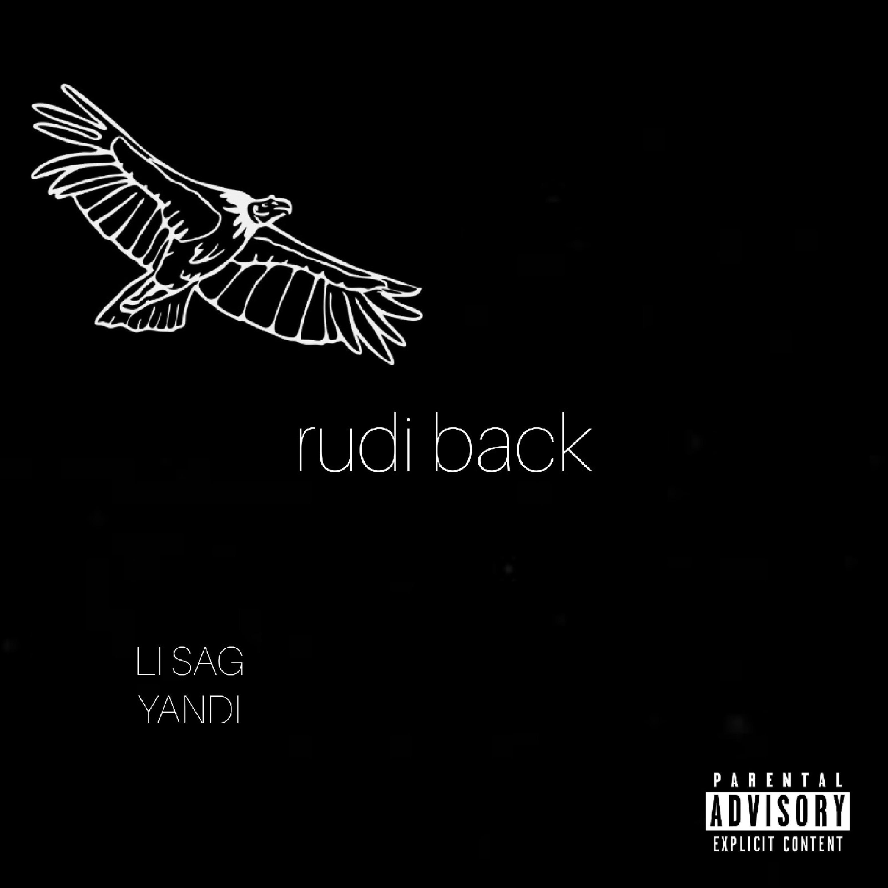Постер альбома Rudi Back (feat. Yandi)