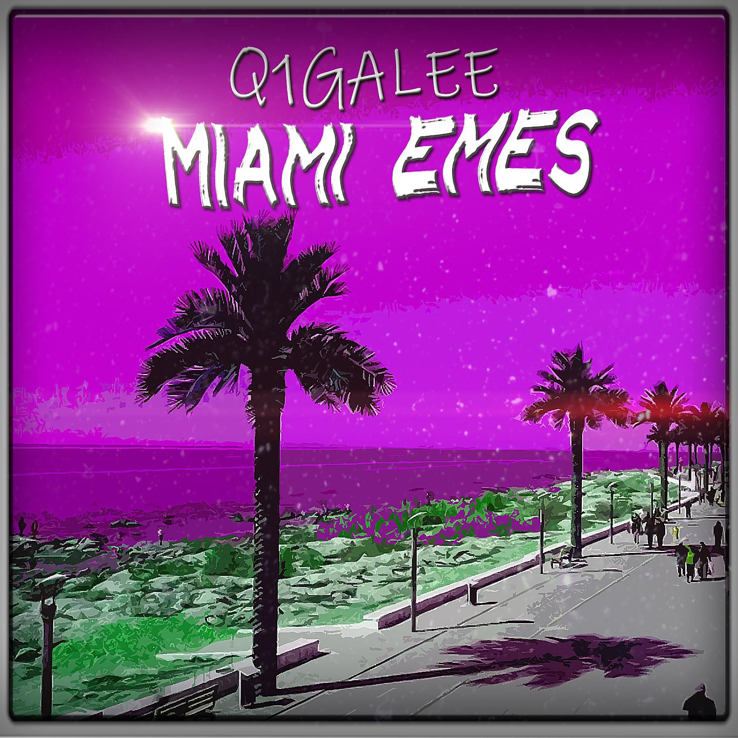Постер альбома Miami Emes