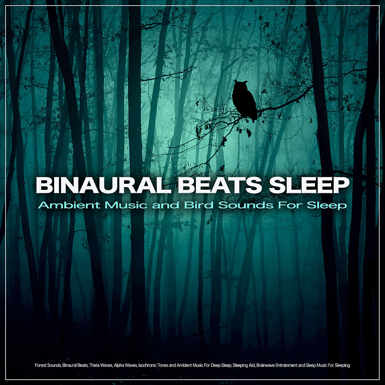 Binaural Beats Sleep - Binaural Sleep Aid and Bird Sounds