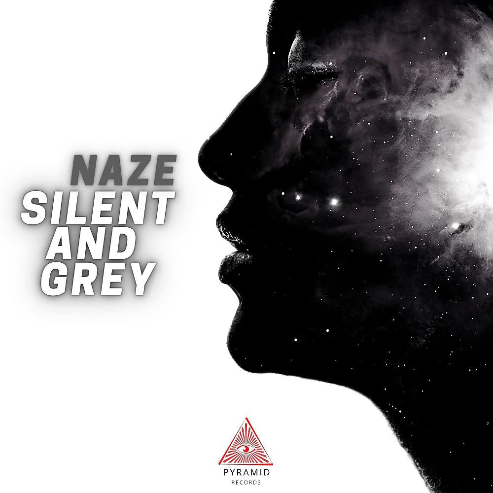 Постер альбома Silent and Grey (Radio Version)