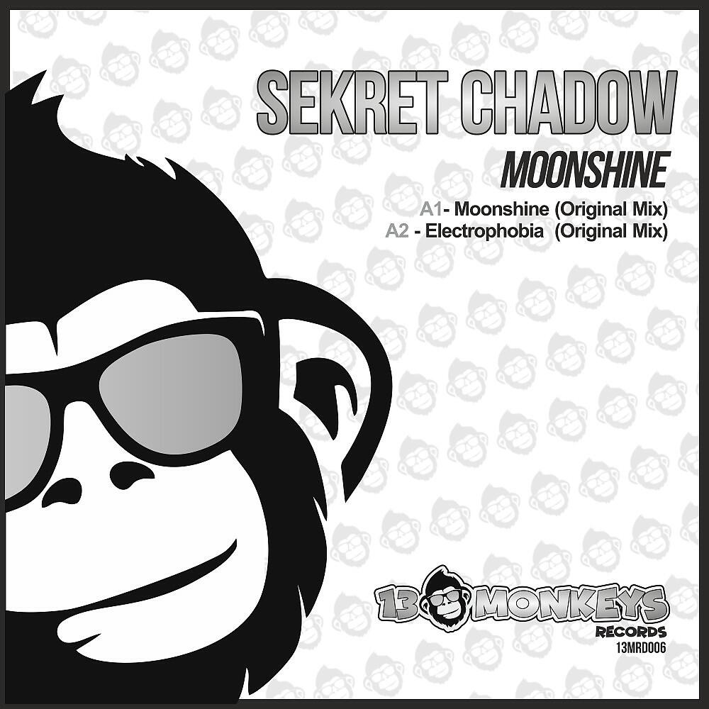 Sekret Chadow - Electrophonia (Original Mix)