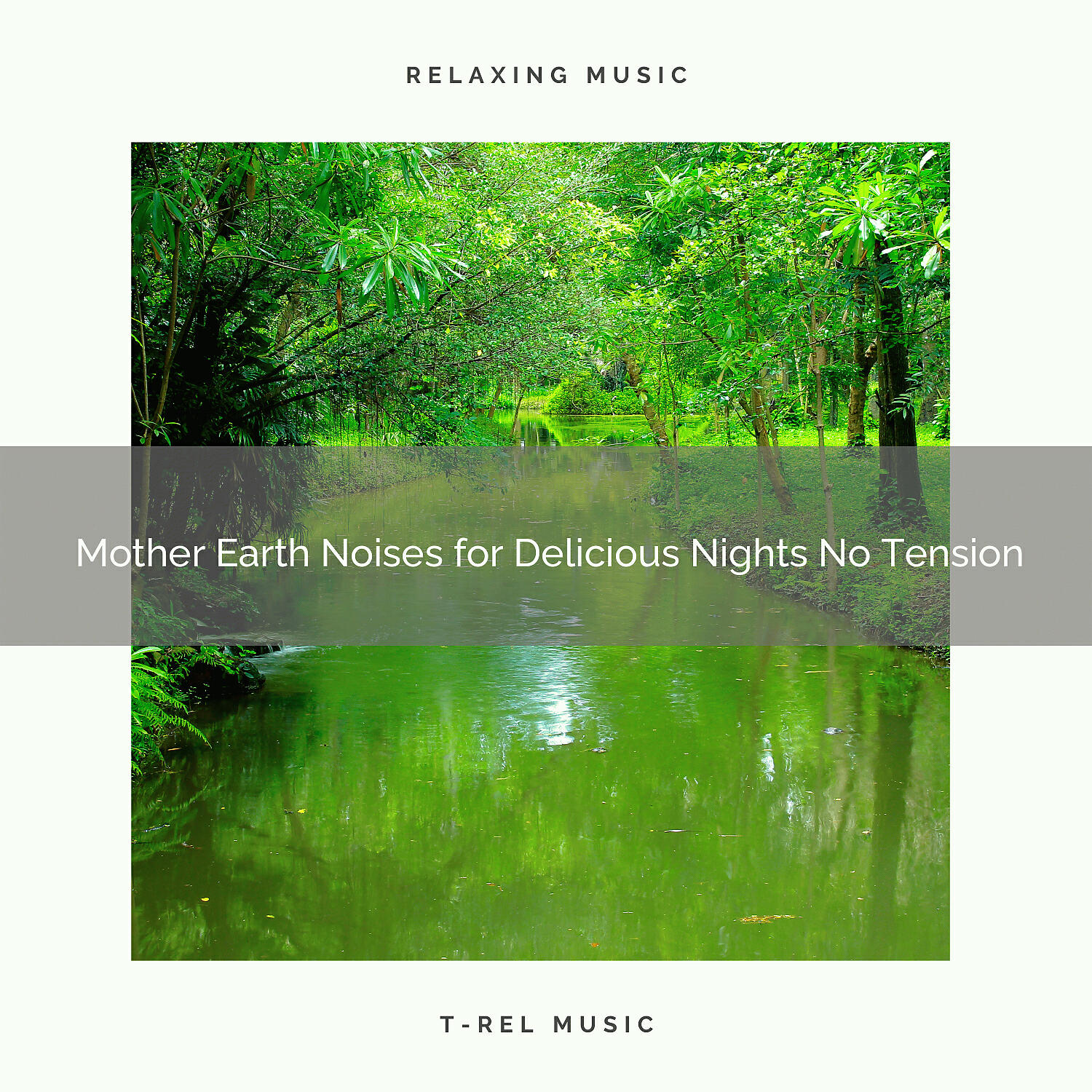 Nature Bird Sounds - Mother Earth Sounds for Perfect Nights and Recharge