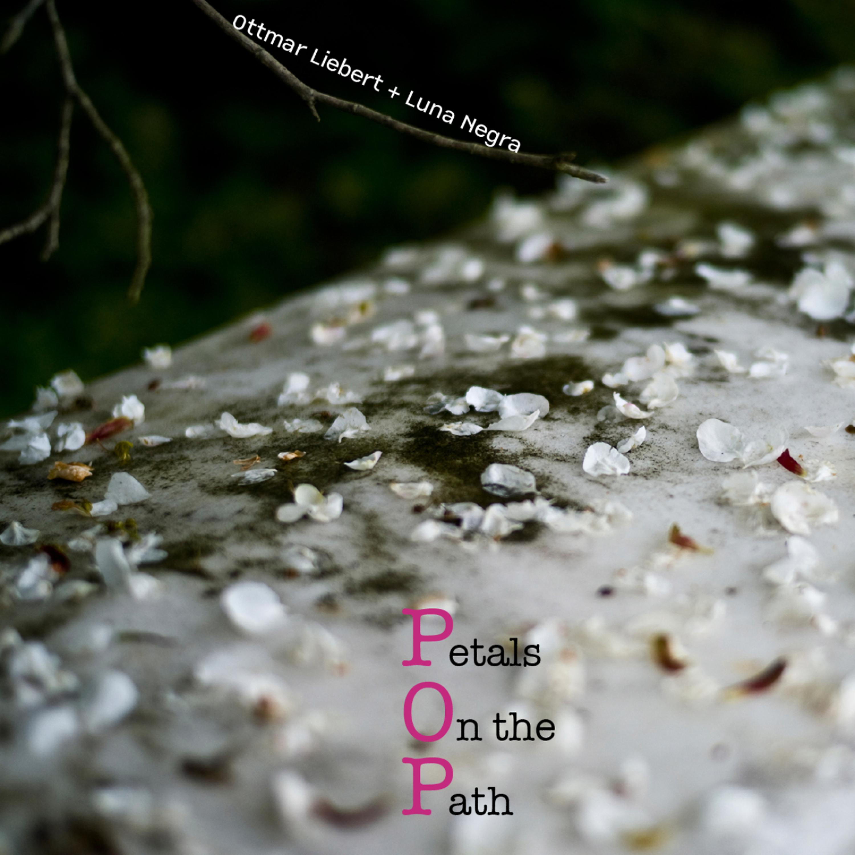 Постер альбома Petals on the Path