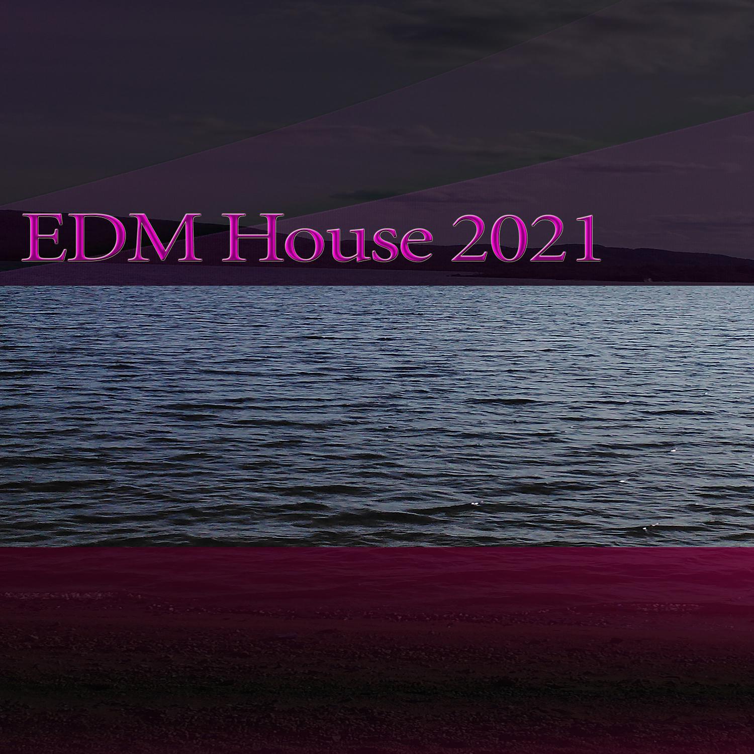 Постер альбома EDM House 2021