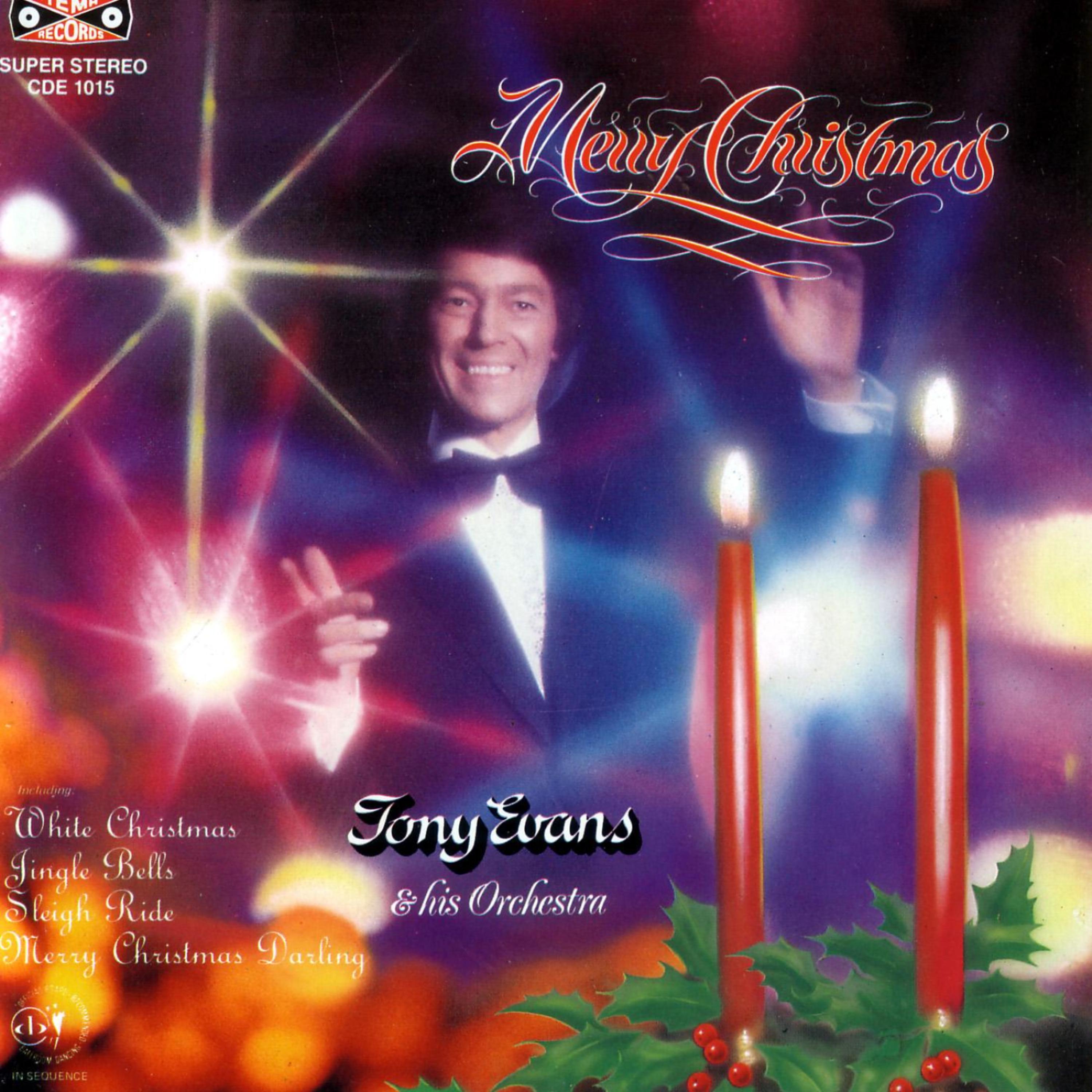 Постер альбома Merry Christmas - Tony Evans