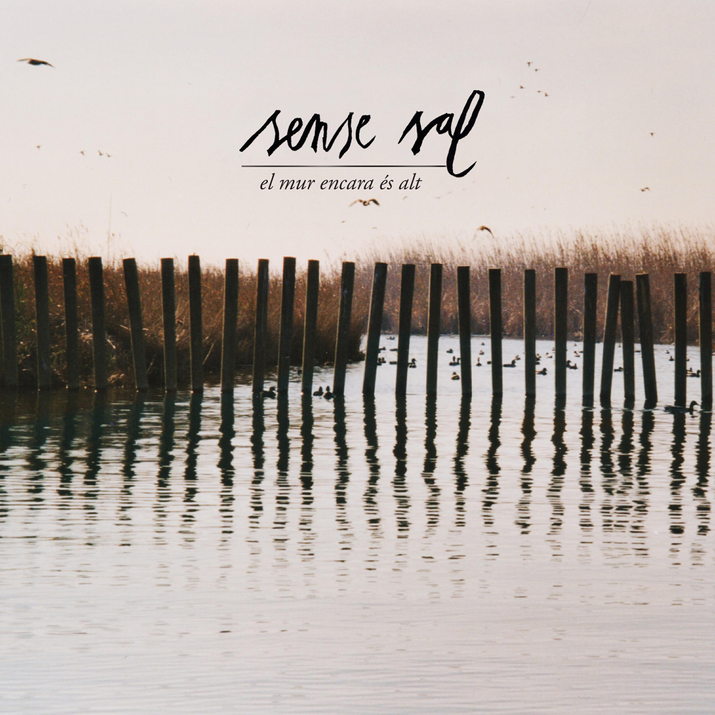 Sense Sal - Terra endins