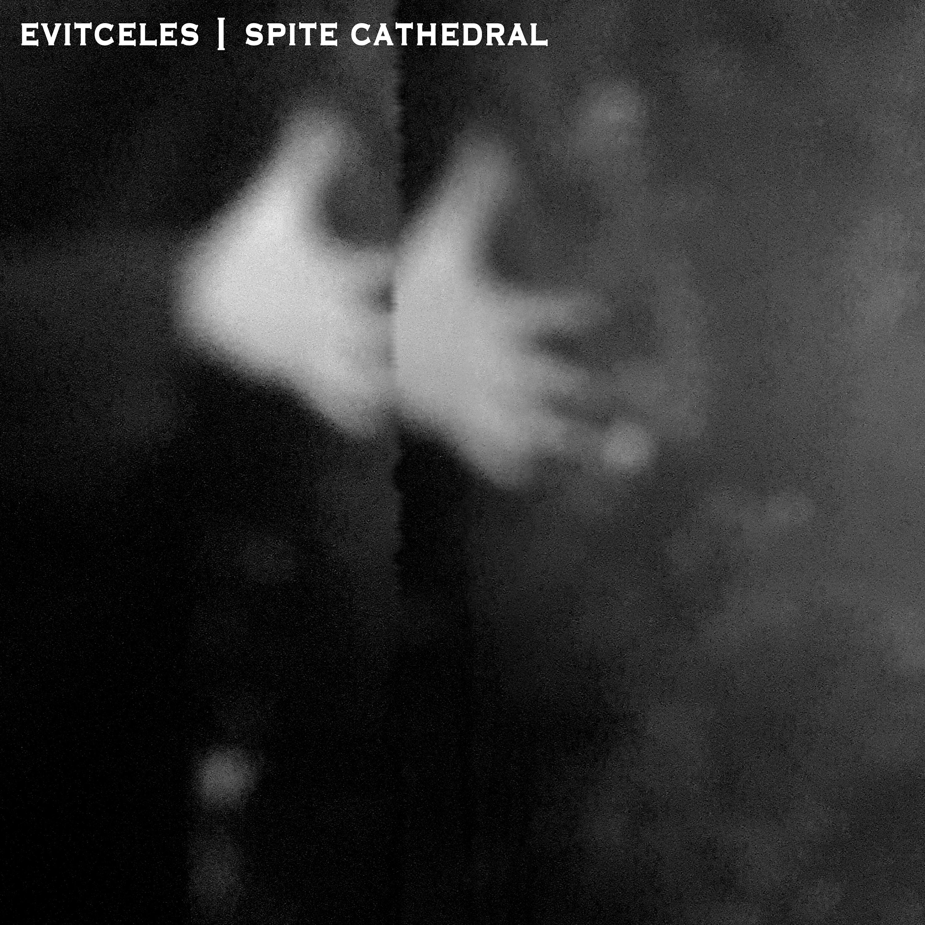 Evitceles - Hologram Sting