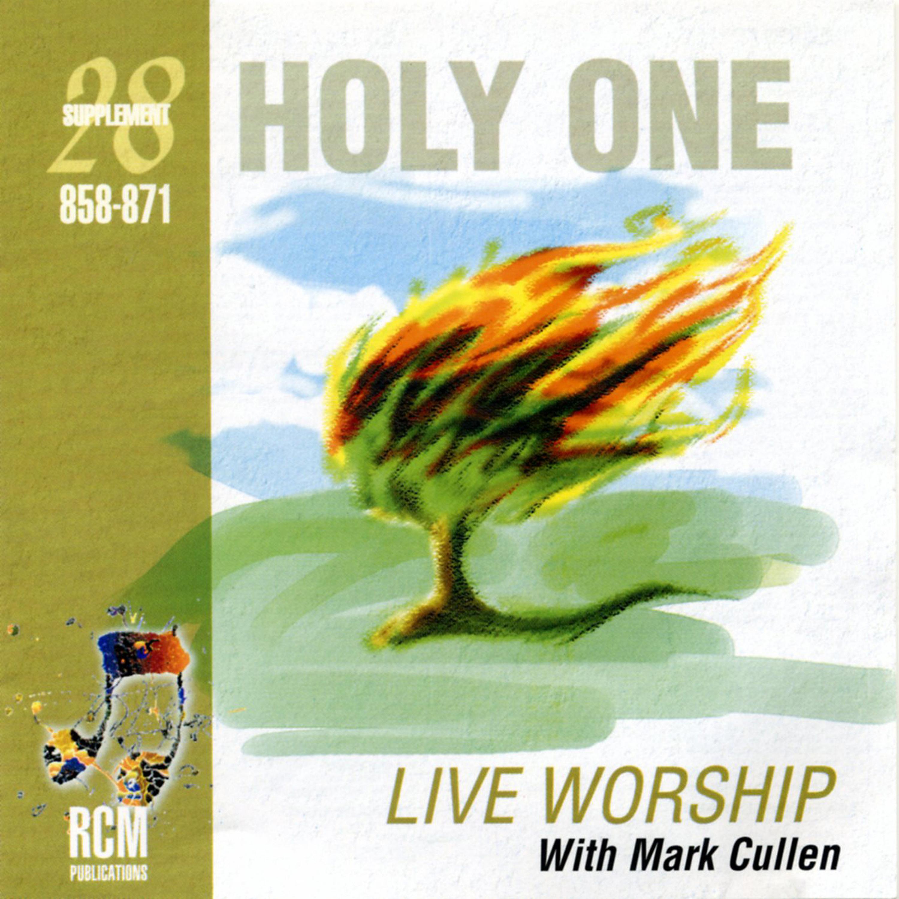 Постер альбома Holy One – Live Worship Collection