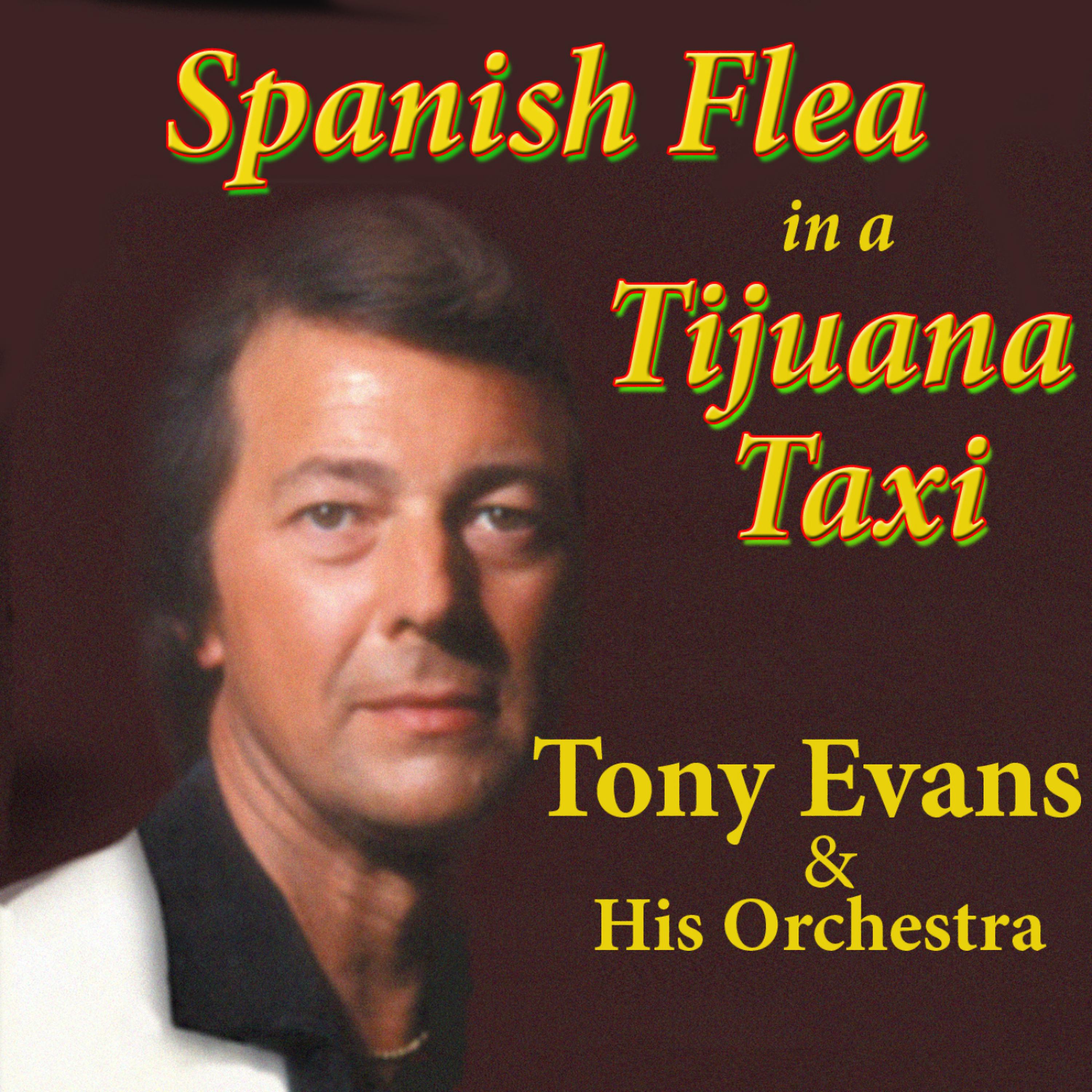 Постер альбома Spanish Flea in a Tijuana Taxi