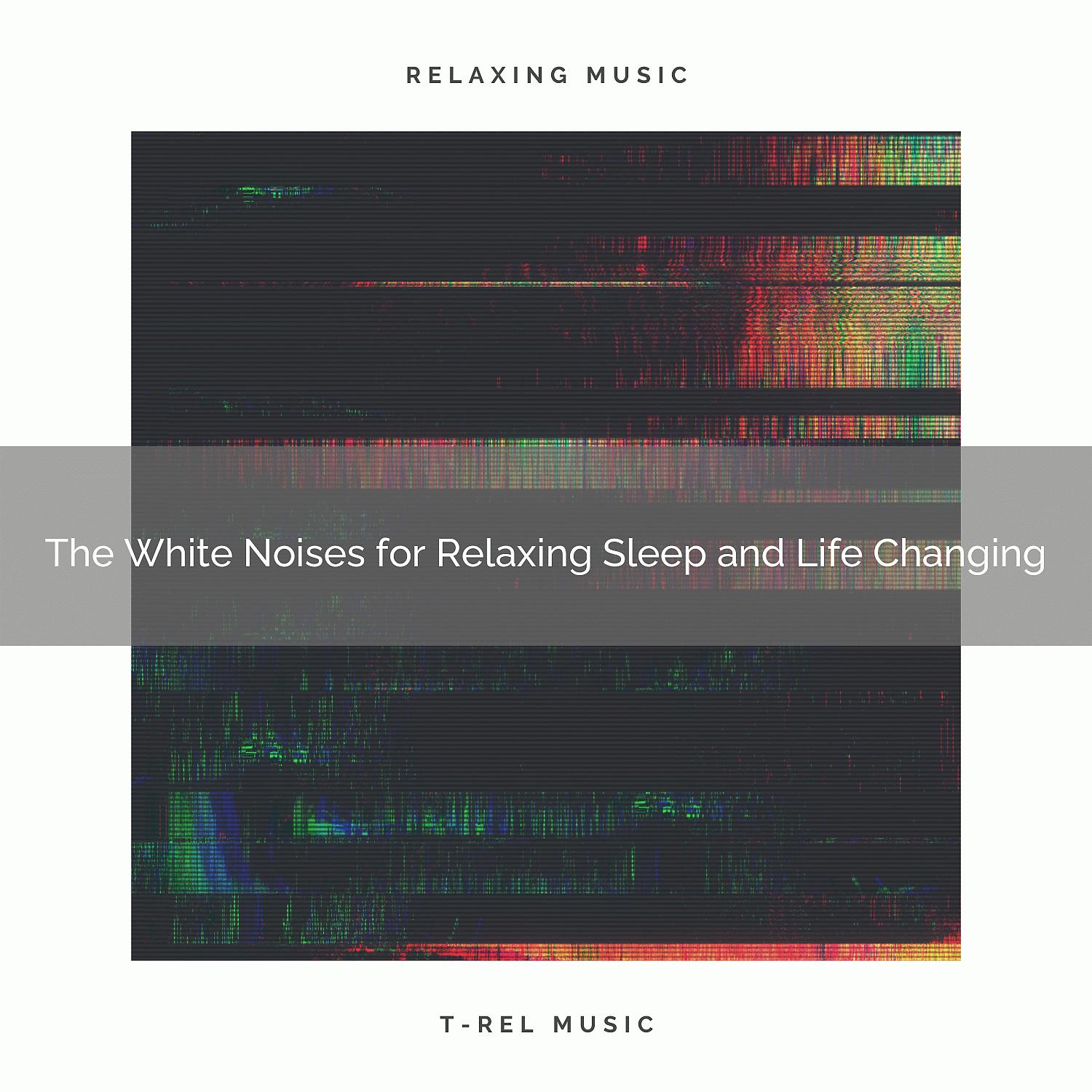 Постер альбома The White Noises for Relaxing Sleep and Life Changing