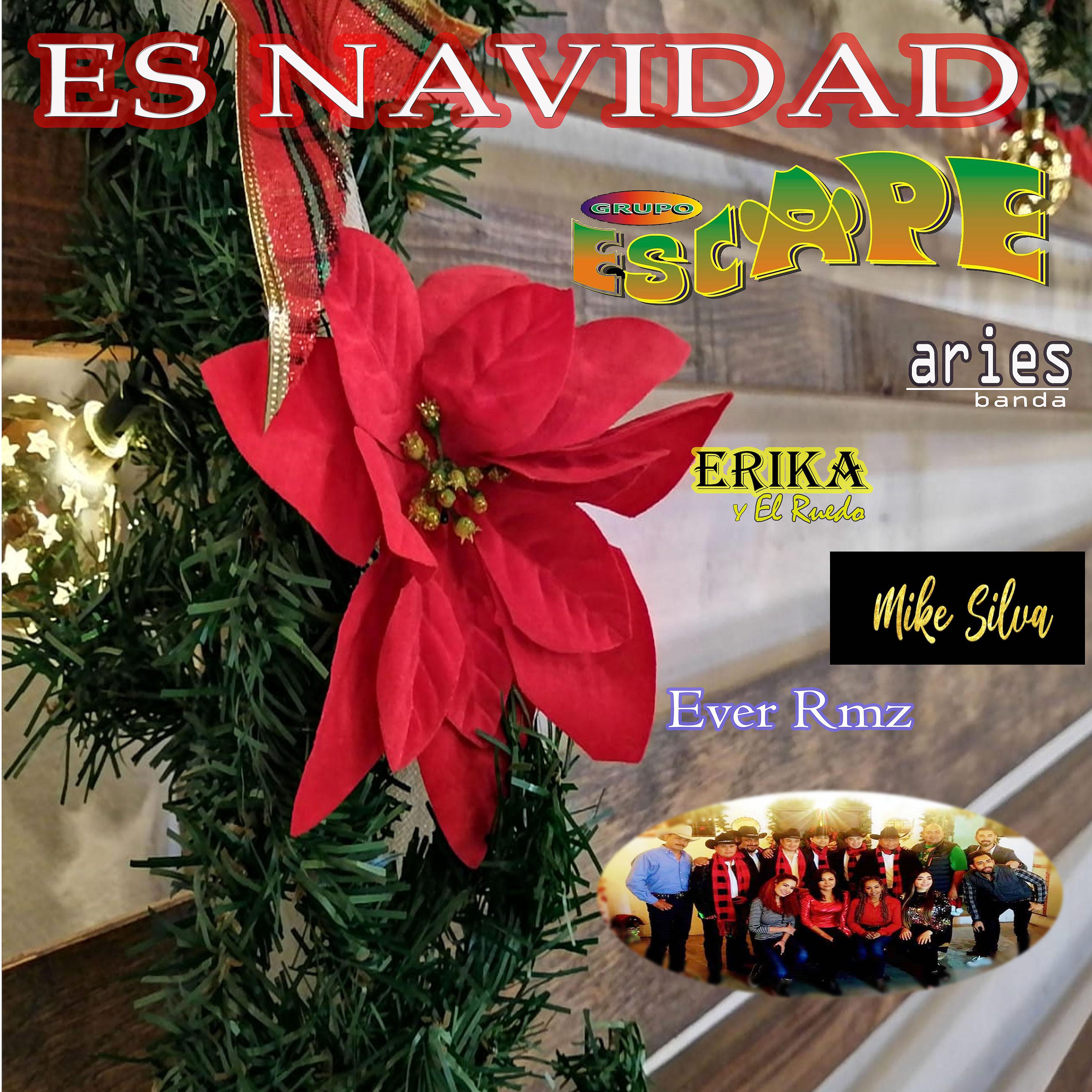 Постер альбома Es Navidad