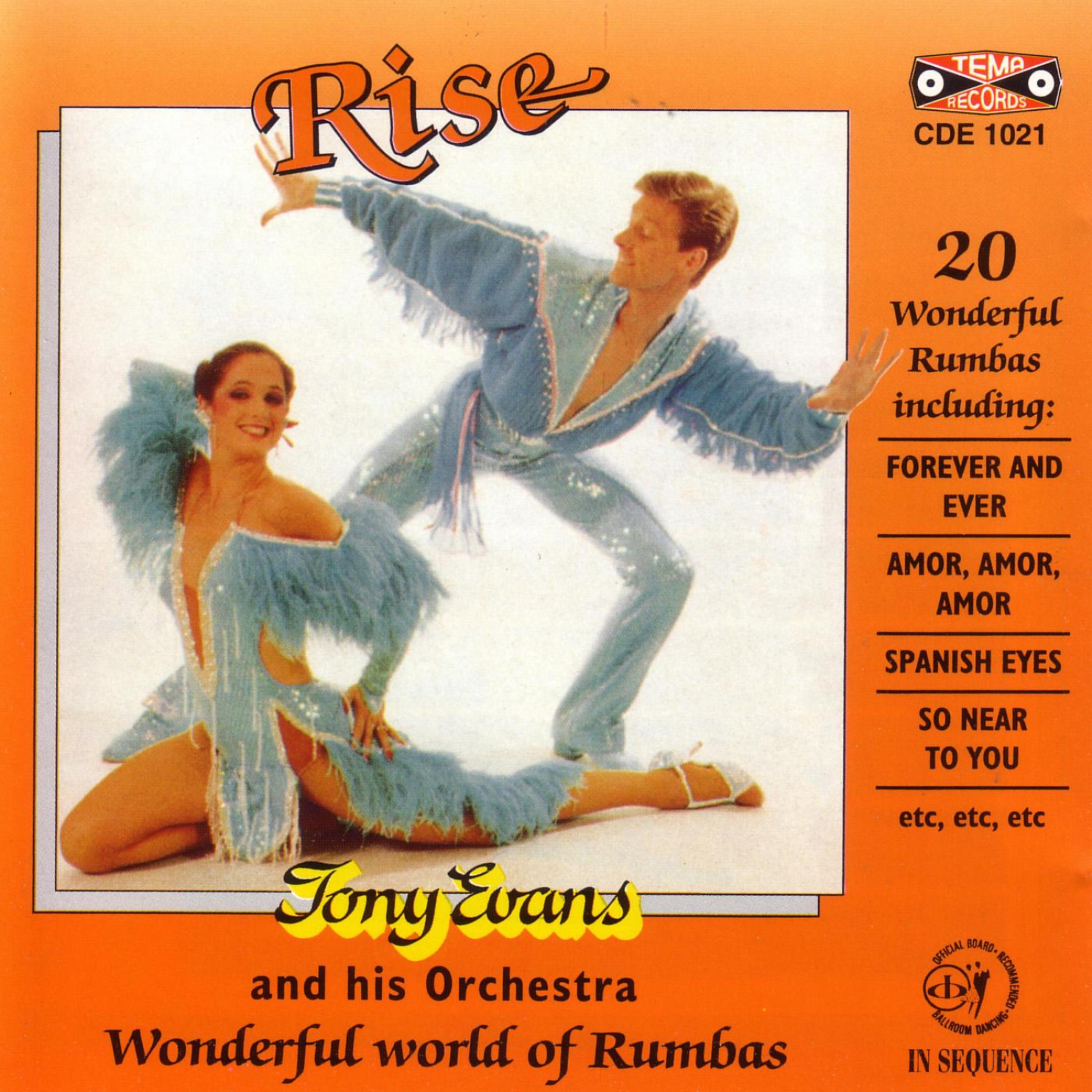 Постер альбома Rise 20 Wonderful Rumbas