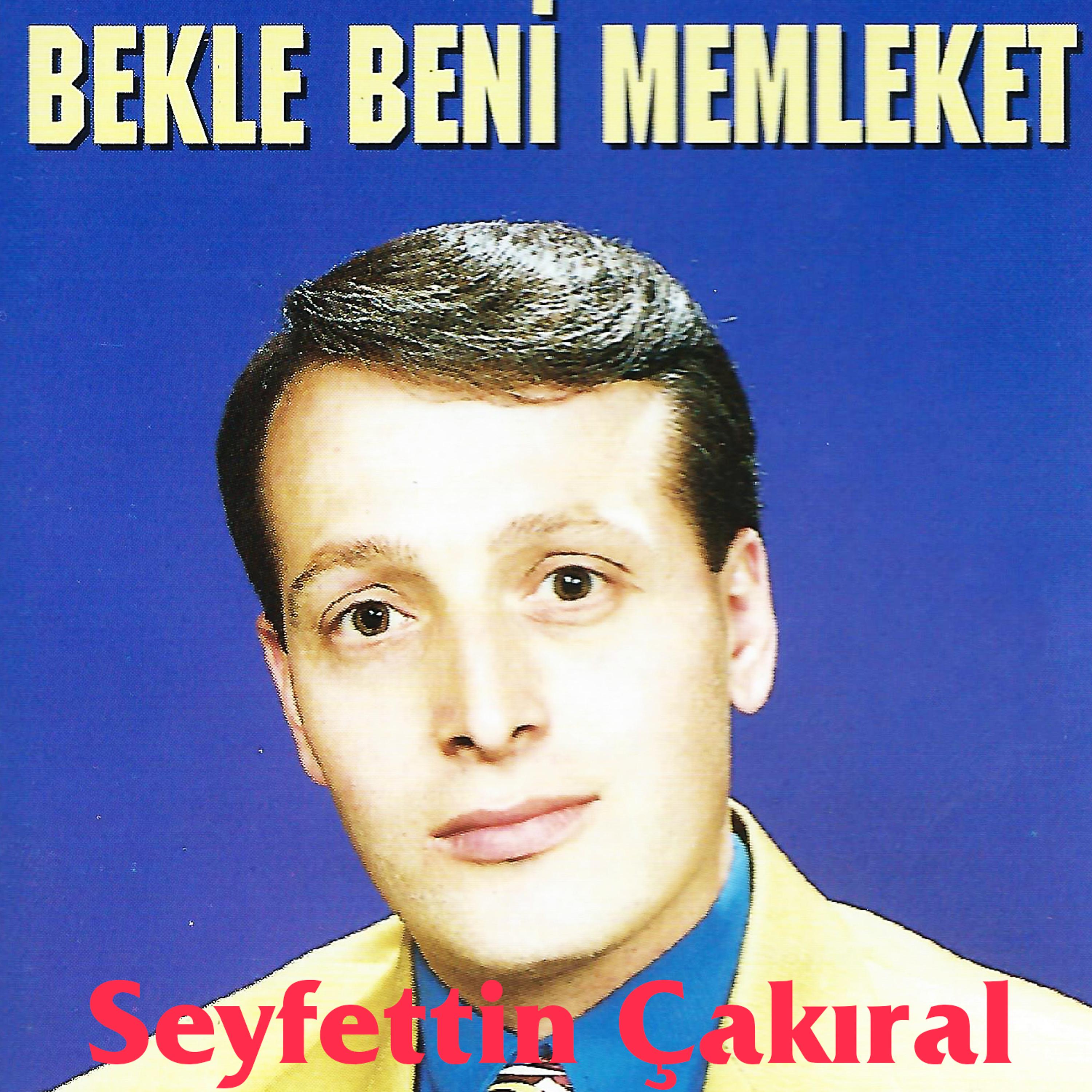 Постер альбома Bekle Beni Memleket