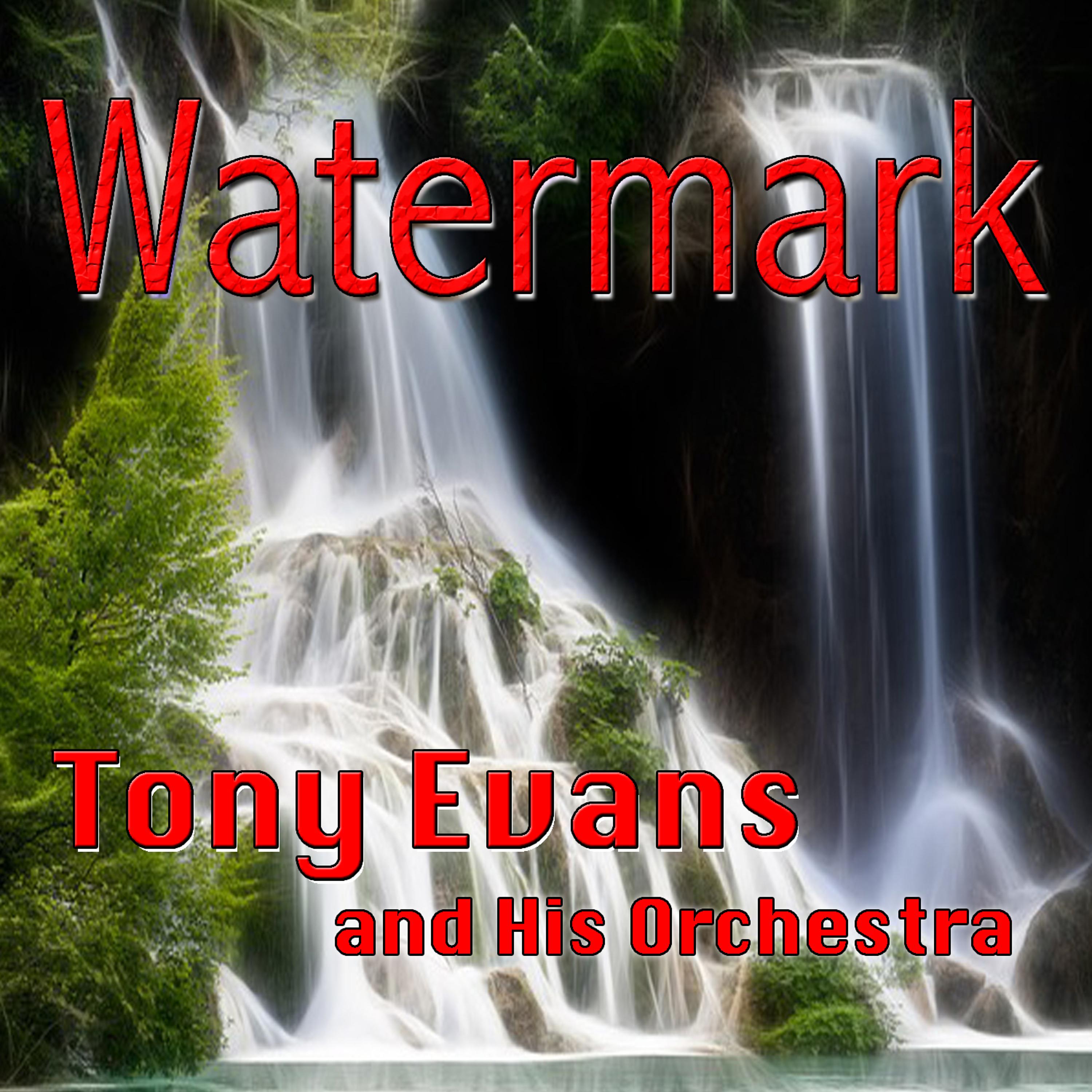 Постер альбома Watermark