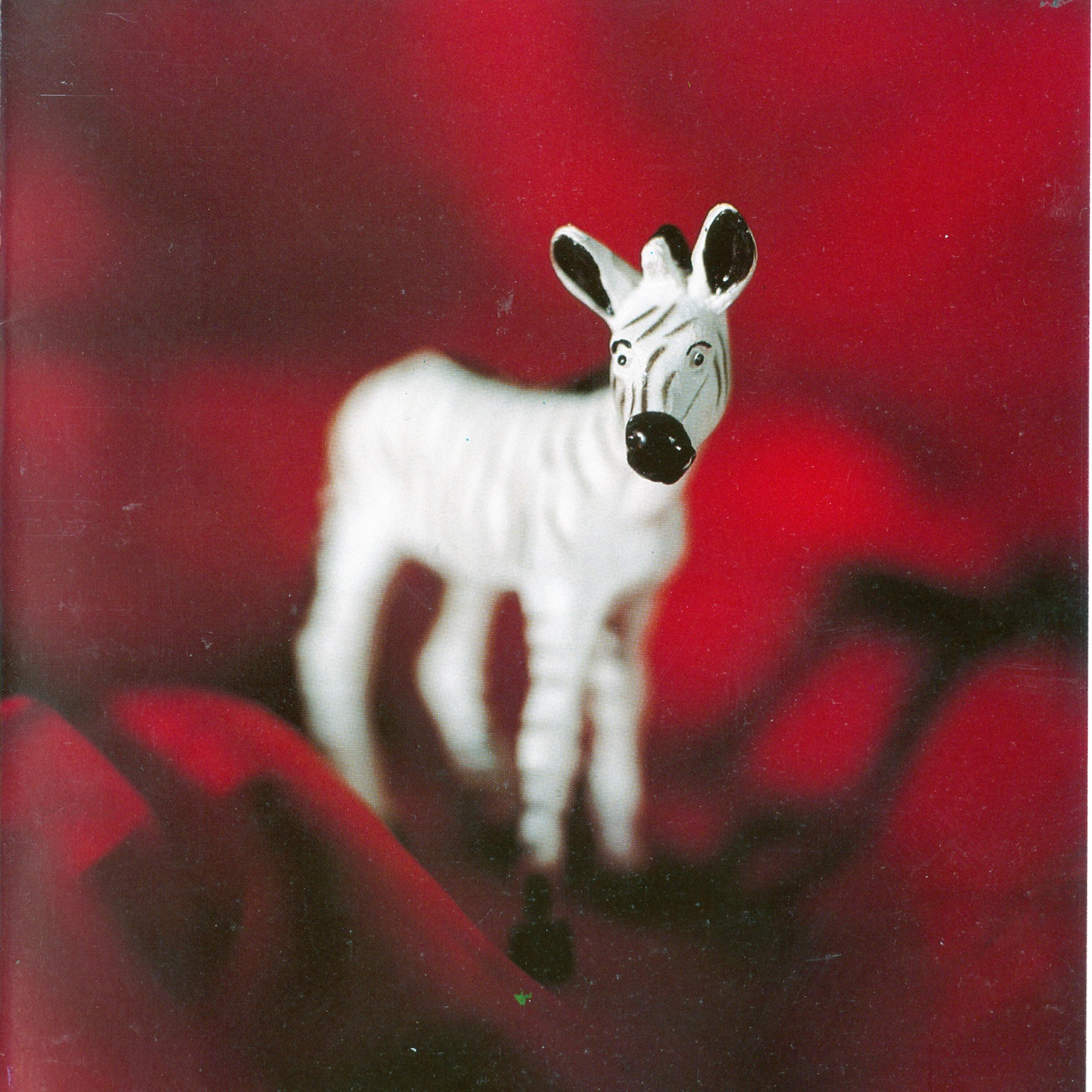 Zebra - Black Fiction