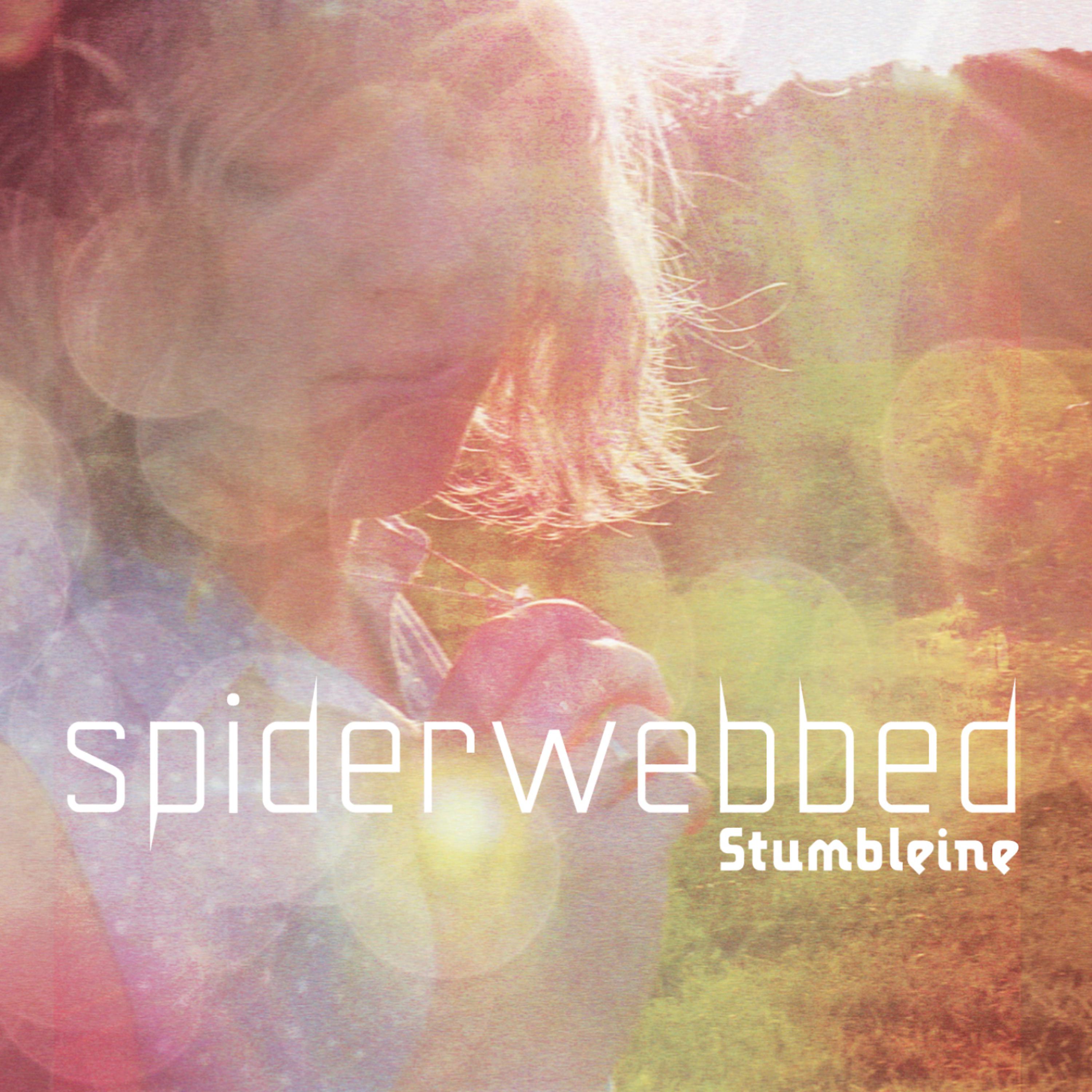Постер альбома Spiderwebbed