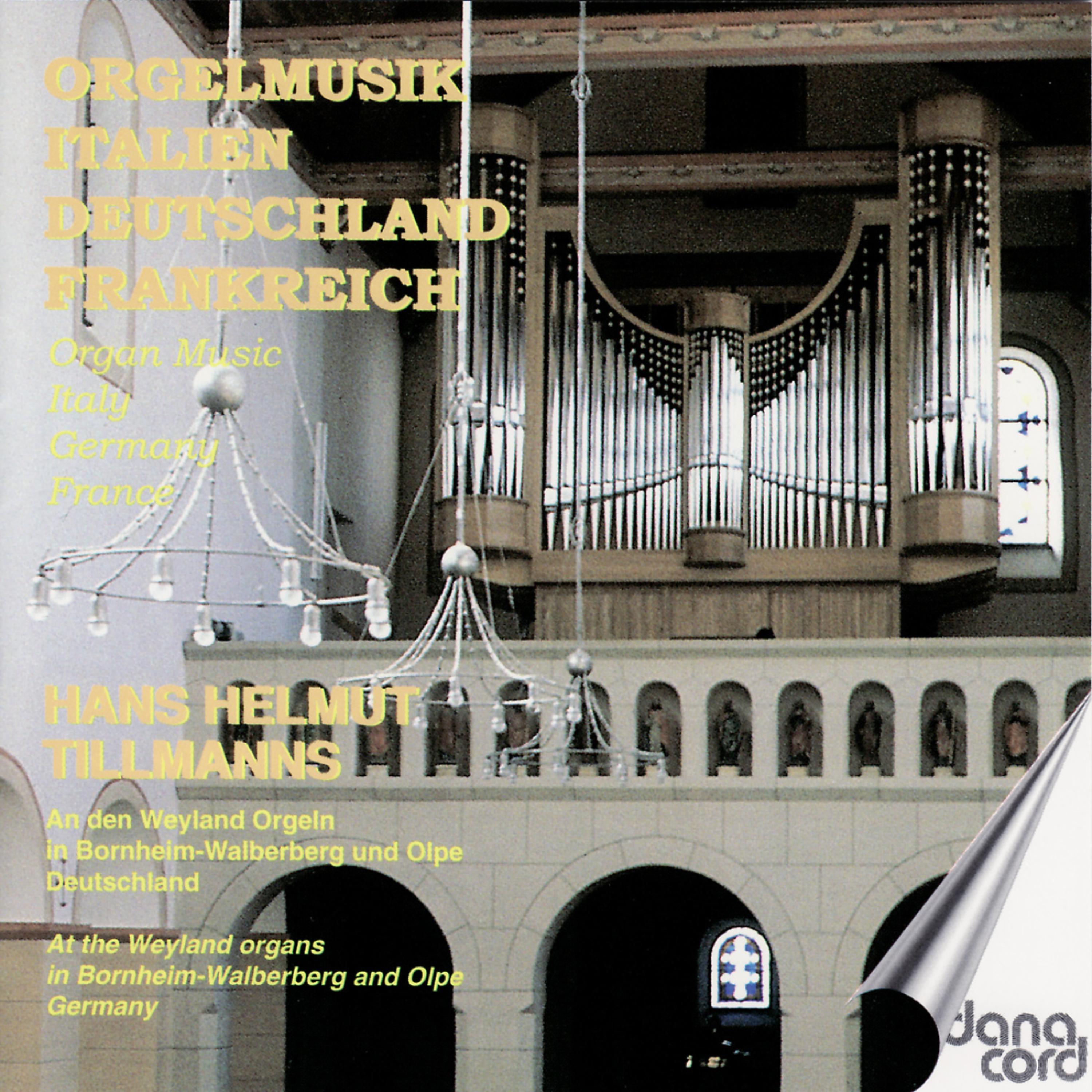 Постер альбома Organ Music - Italy, Germany, France