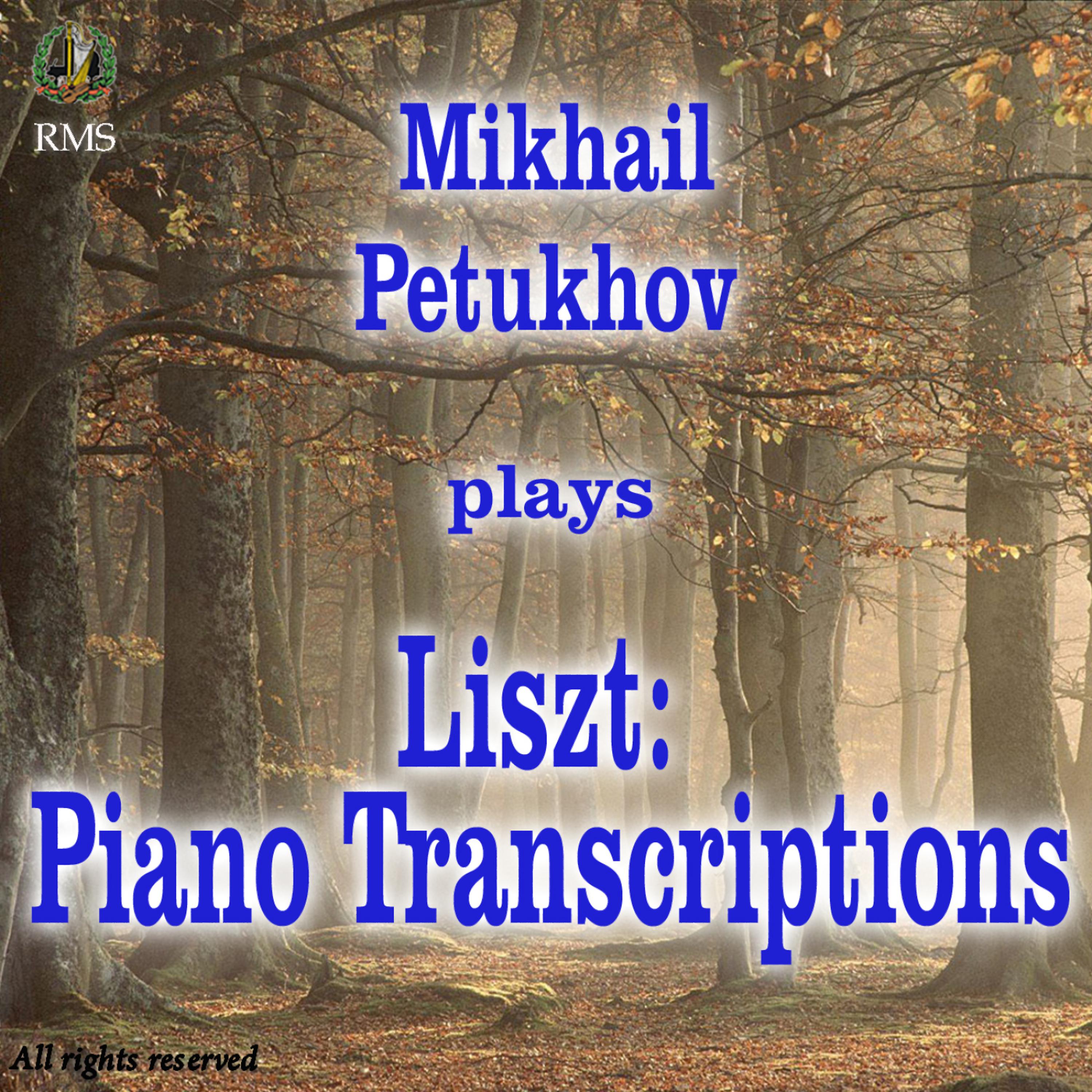 Постер альбома Liszt: Piano Transcriptions