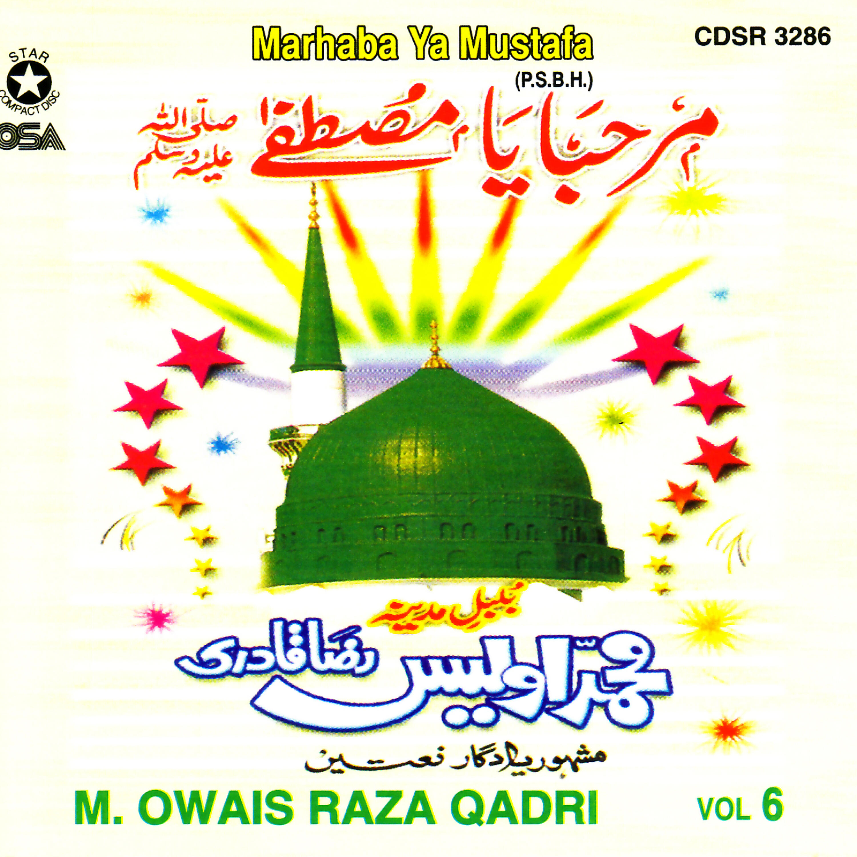 M Owais Raza Qadri - Pukaro Ya Rasool Allah