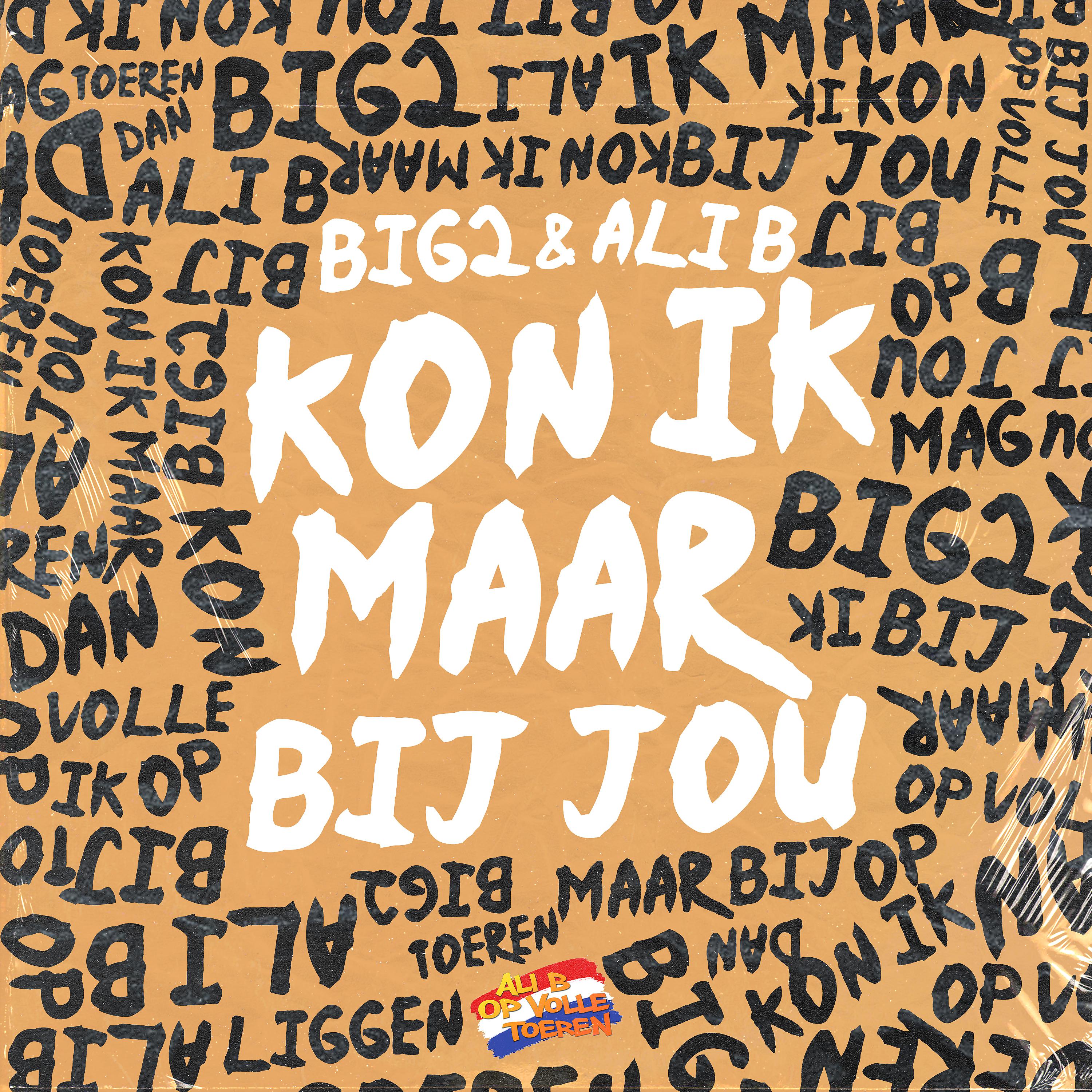 Постер альбома Kon Ik Maar Bij Jou