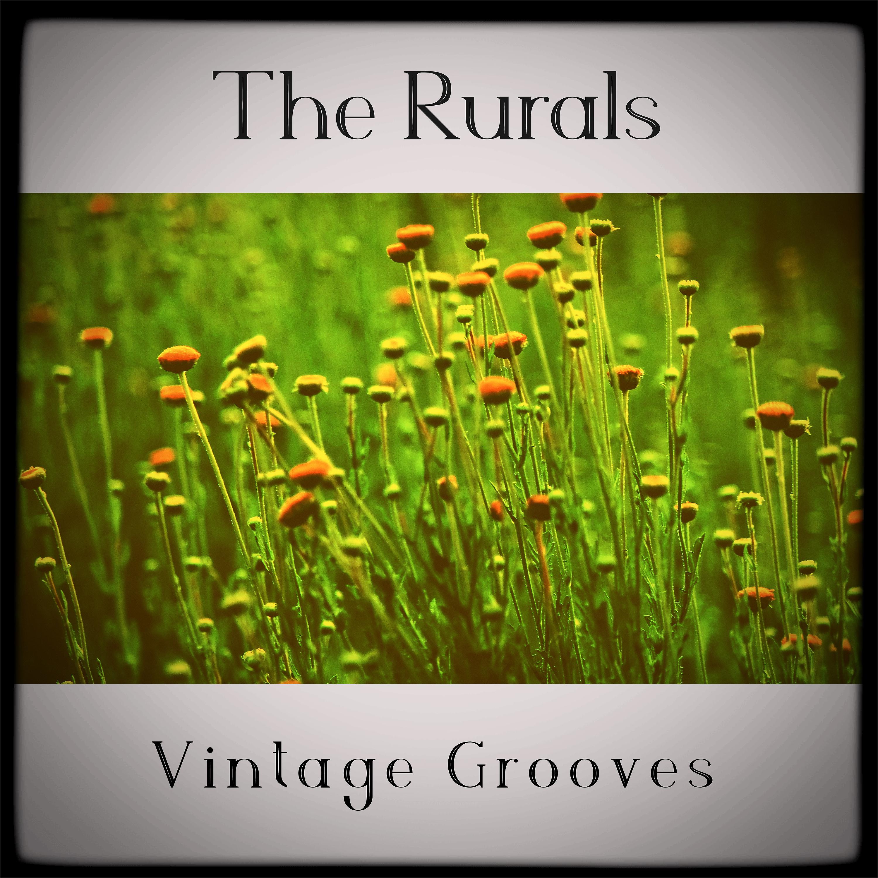 Постер альбома Vintage Grooves