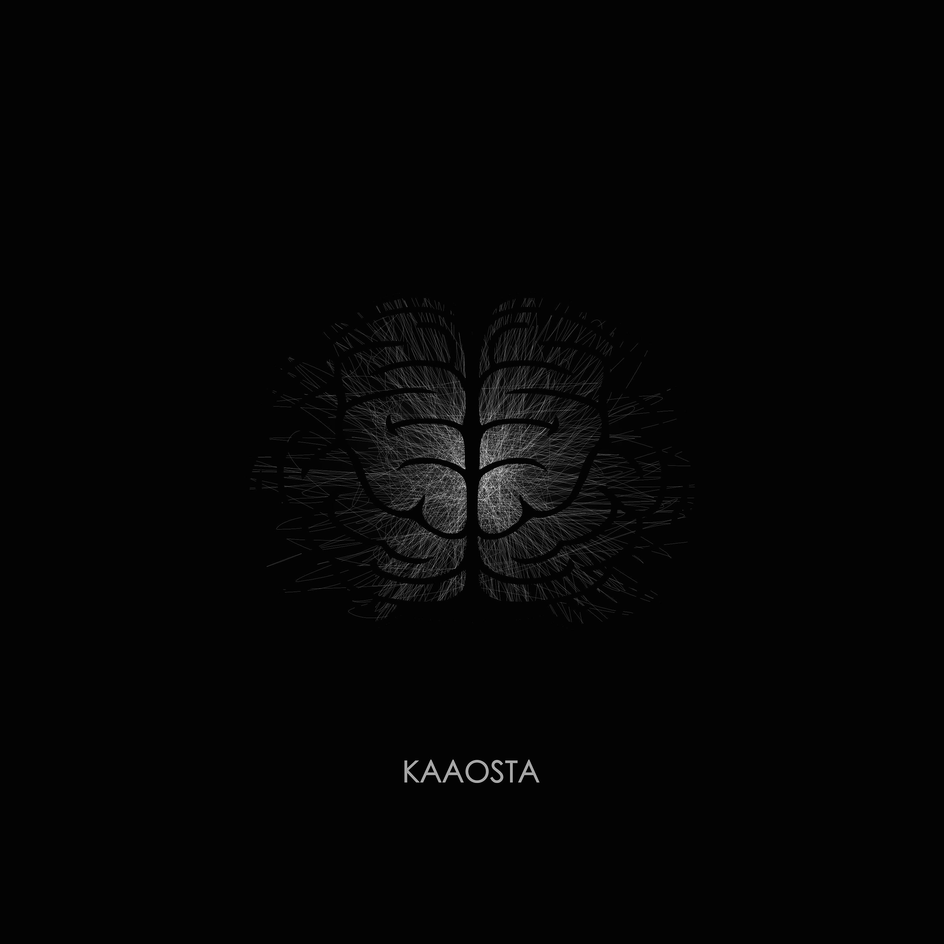 Постер альбома Kaaosta